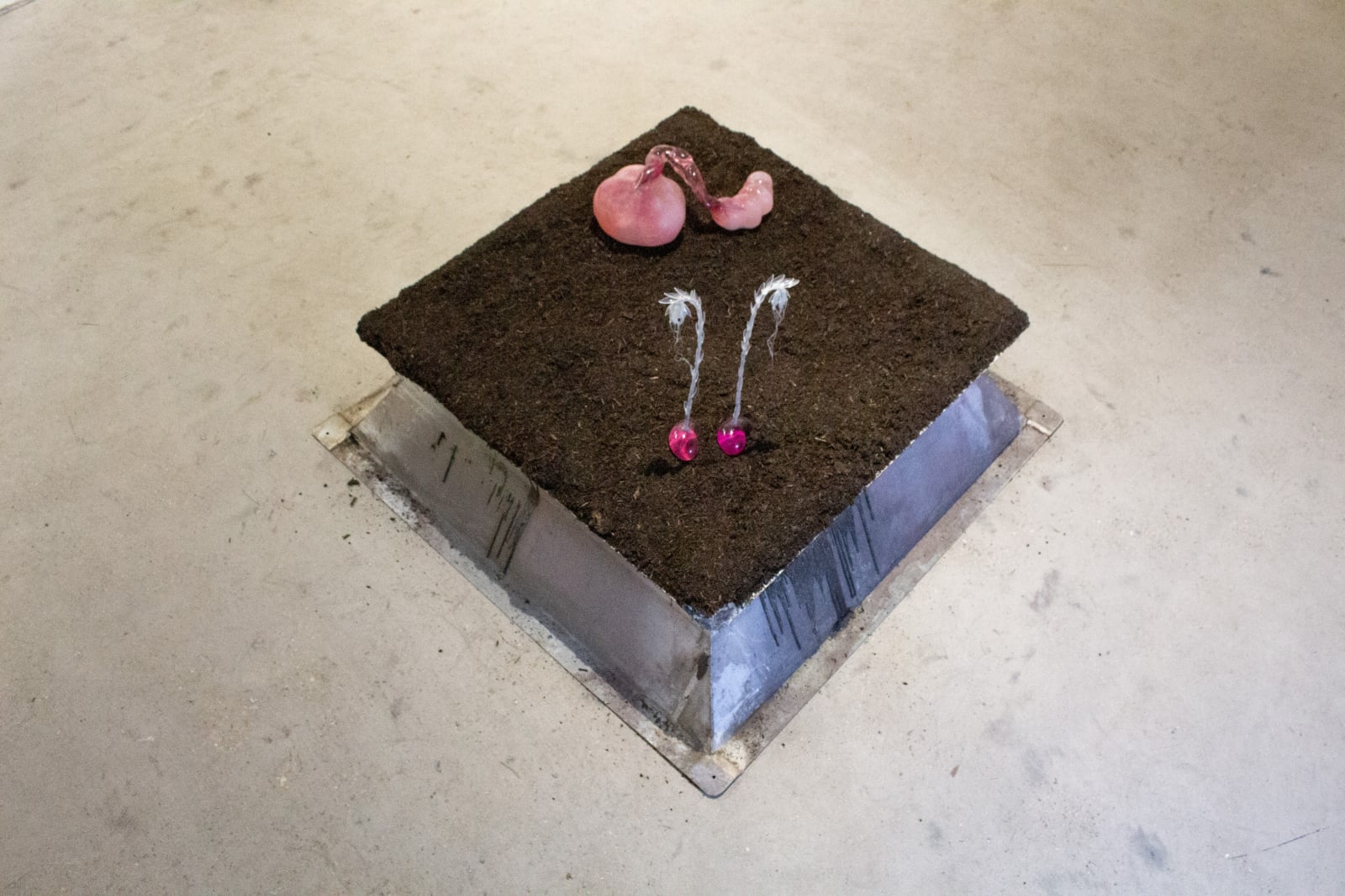 Pınar Marul, Untitled II, 2022