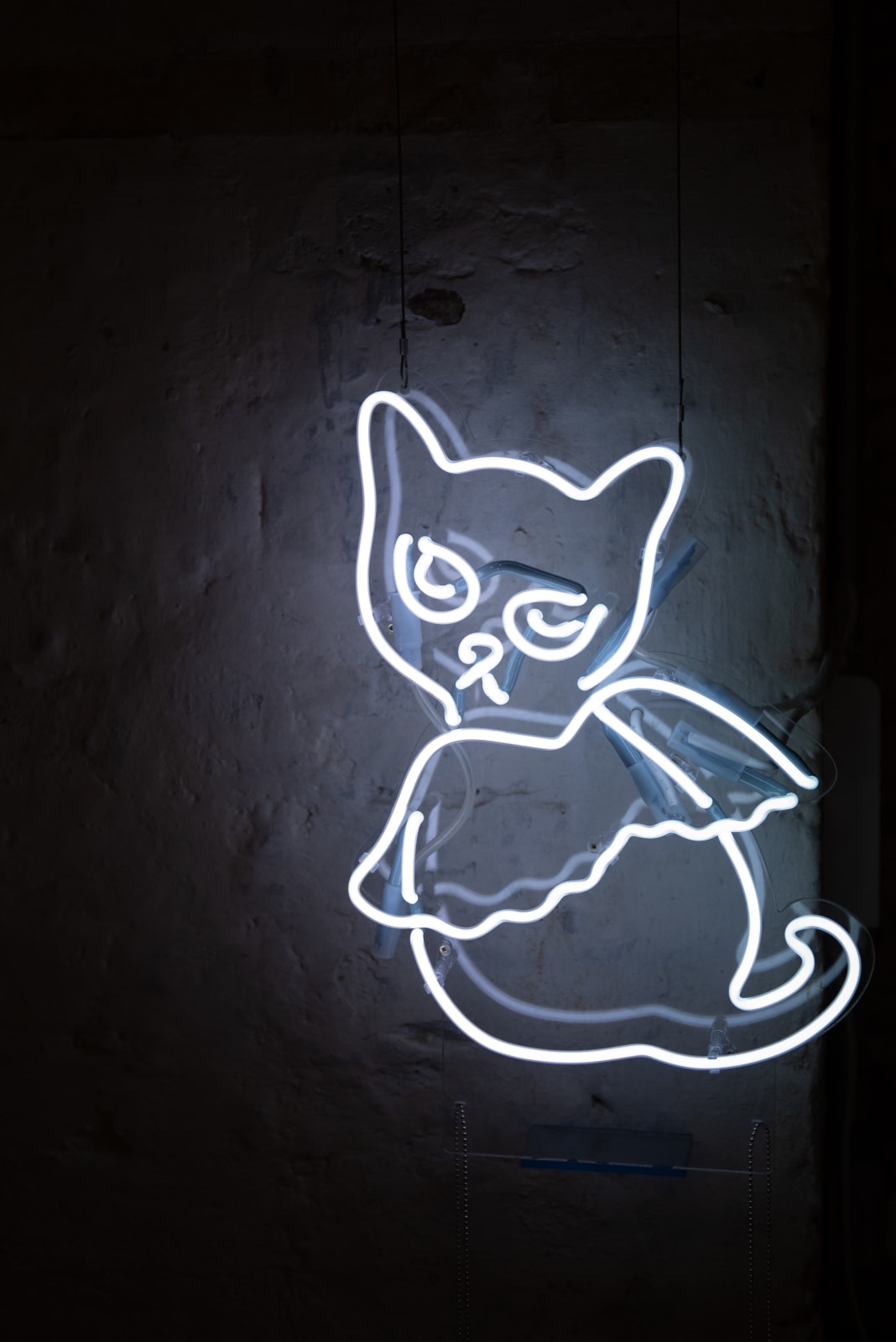 Natalia Janula, Creature of habit, 2024