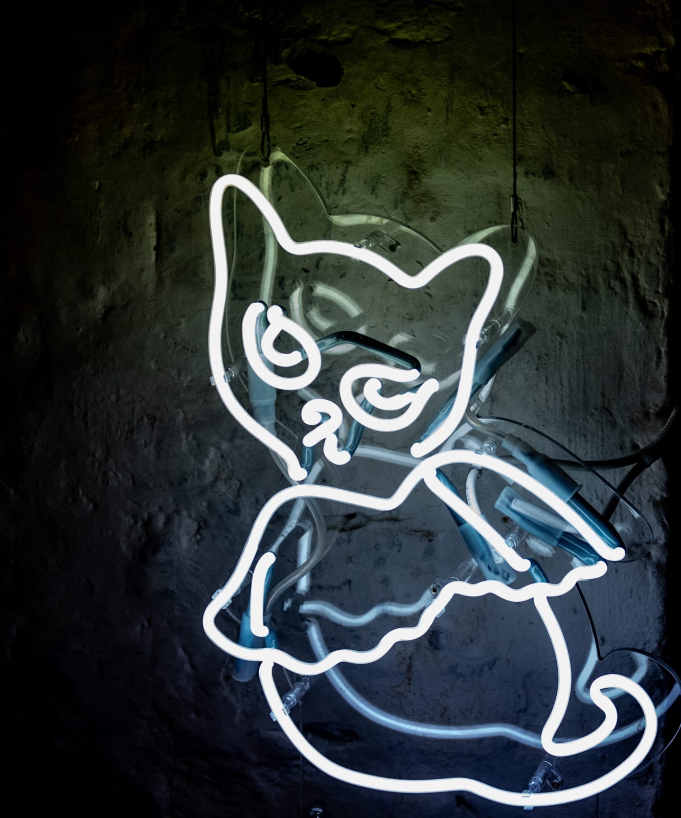 Natalia Janula, Creature of habit, 2024