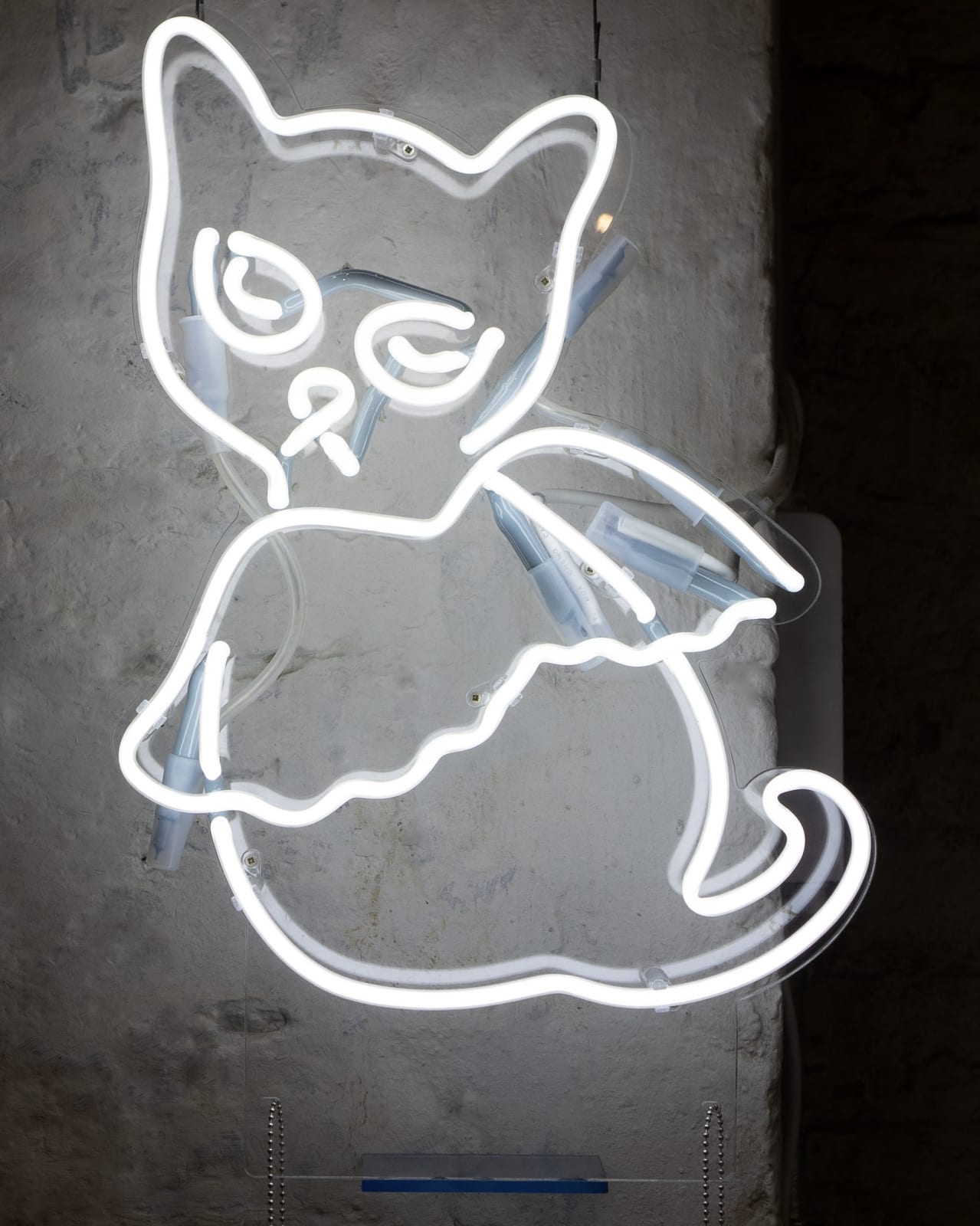 Natalia Janula, Creature of habit, 2024