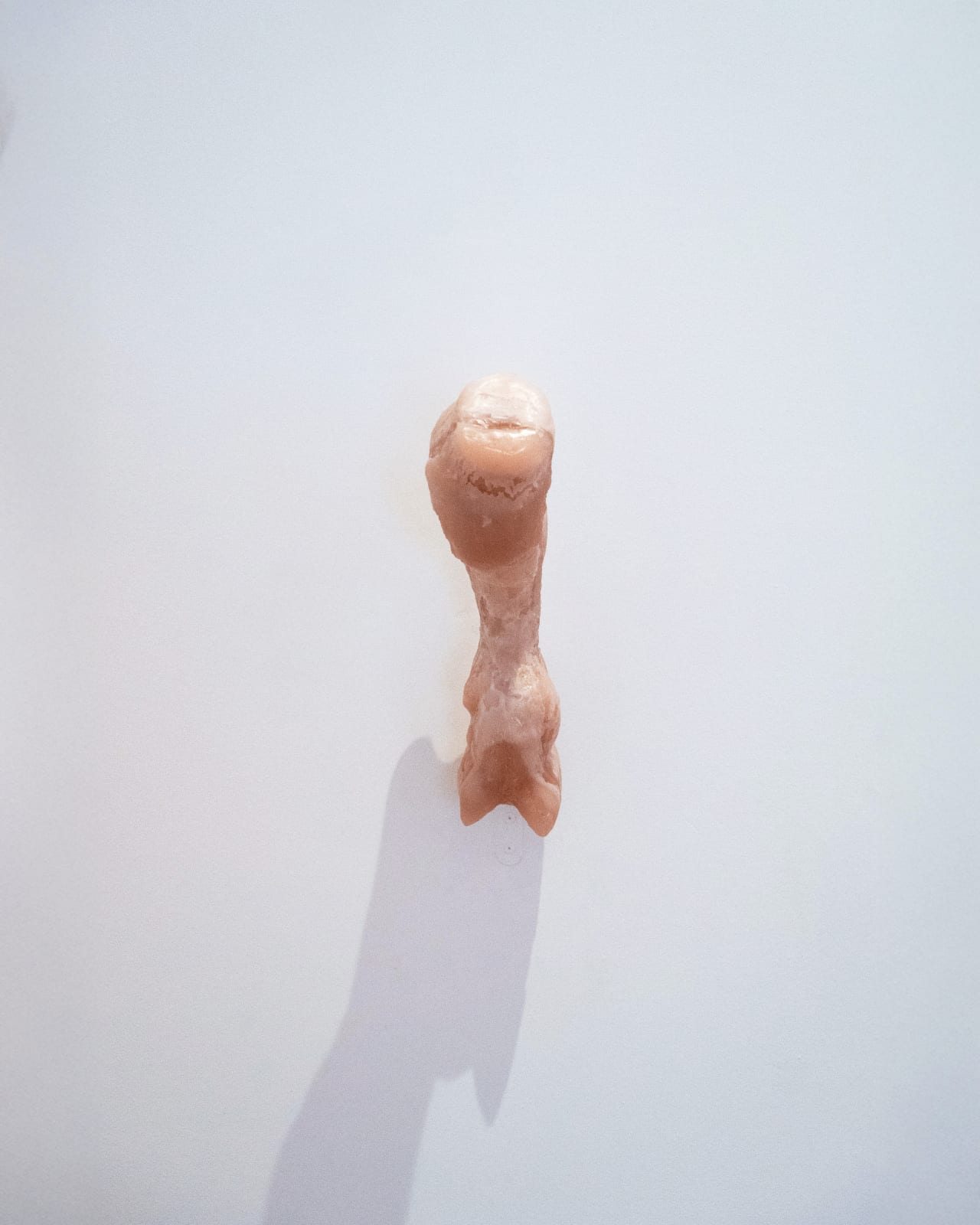 Sofia Bordin, Clip clop, clip clop, clip clop, 2024