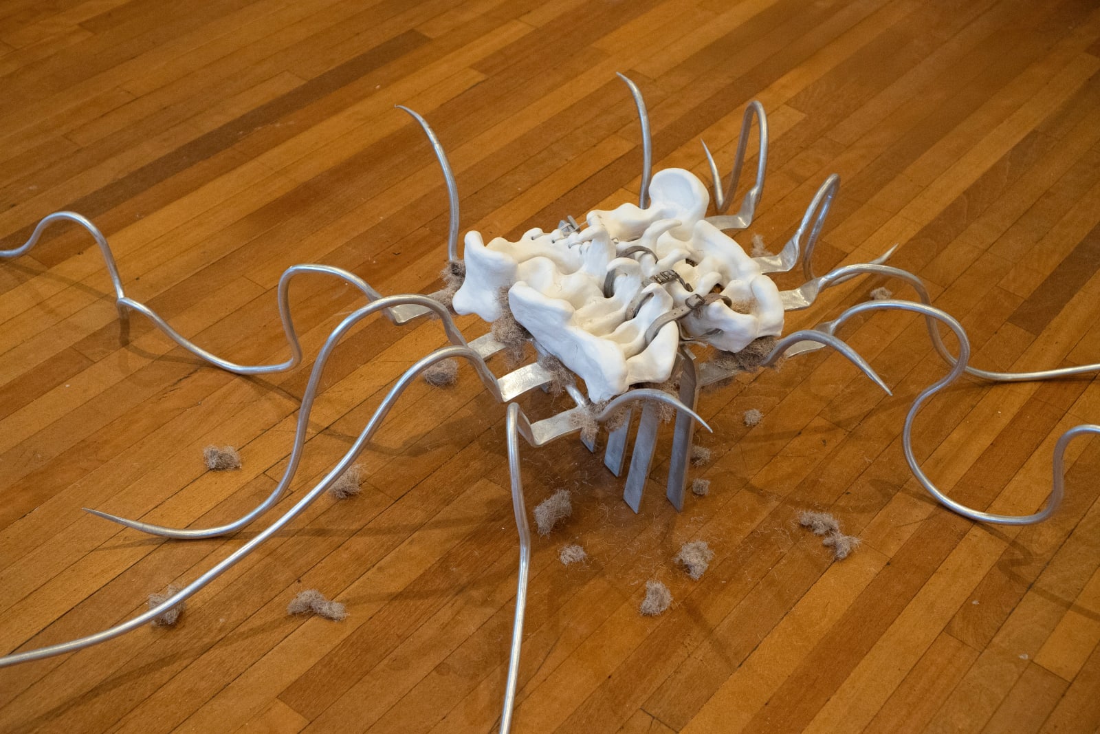 Lera Kelemen, Backslit, 2024