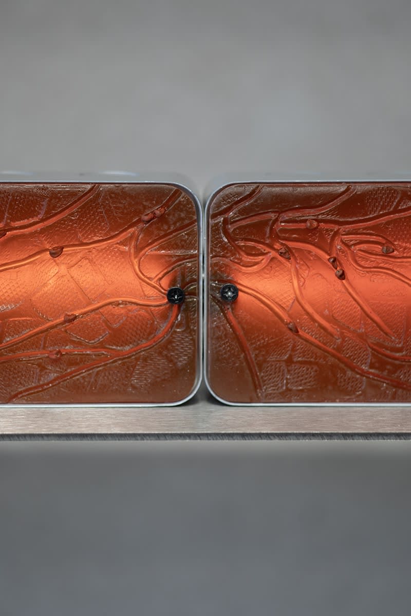 Faysal Altunbozar, Terra No.3 (Magnolias rise in the shadow of your steps) , 2025