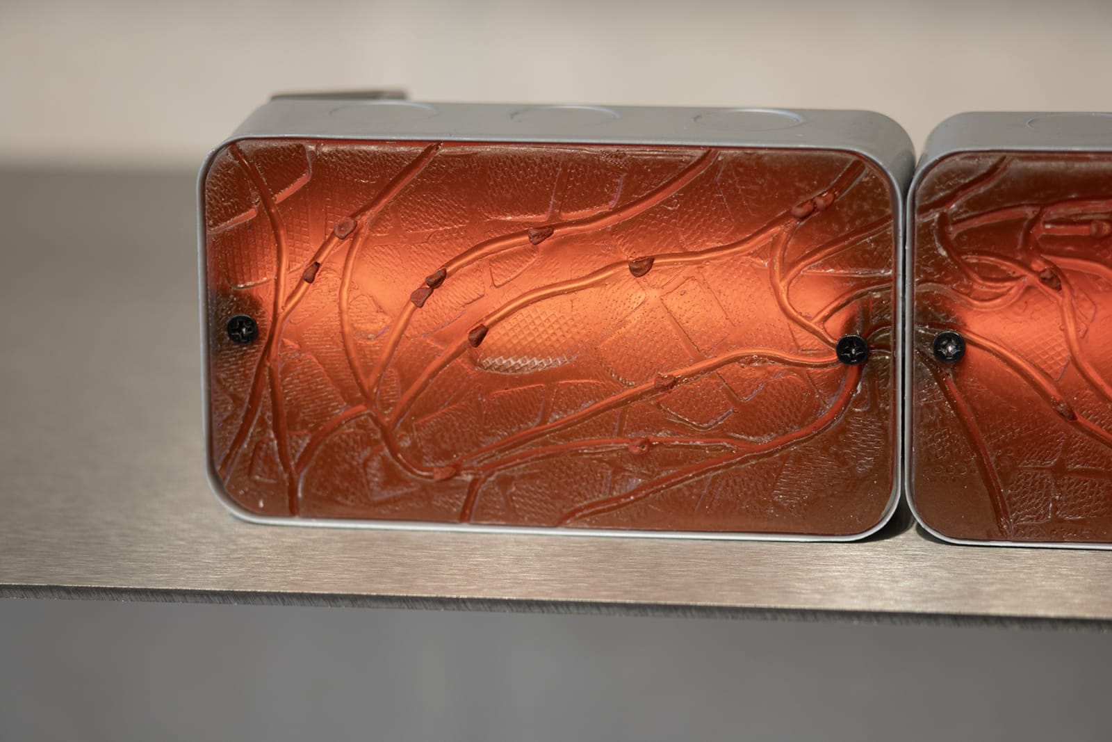 Faysal Altunbozar, Terra No.3 (Magnolias rise in the shadow of your steps) , 2025