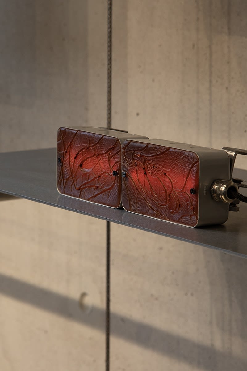 Faysal Altunbozar, Terra No.3 (Magnolias rise in the shadow of your steps) , 2025