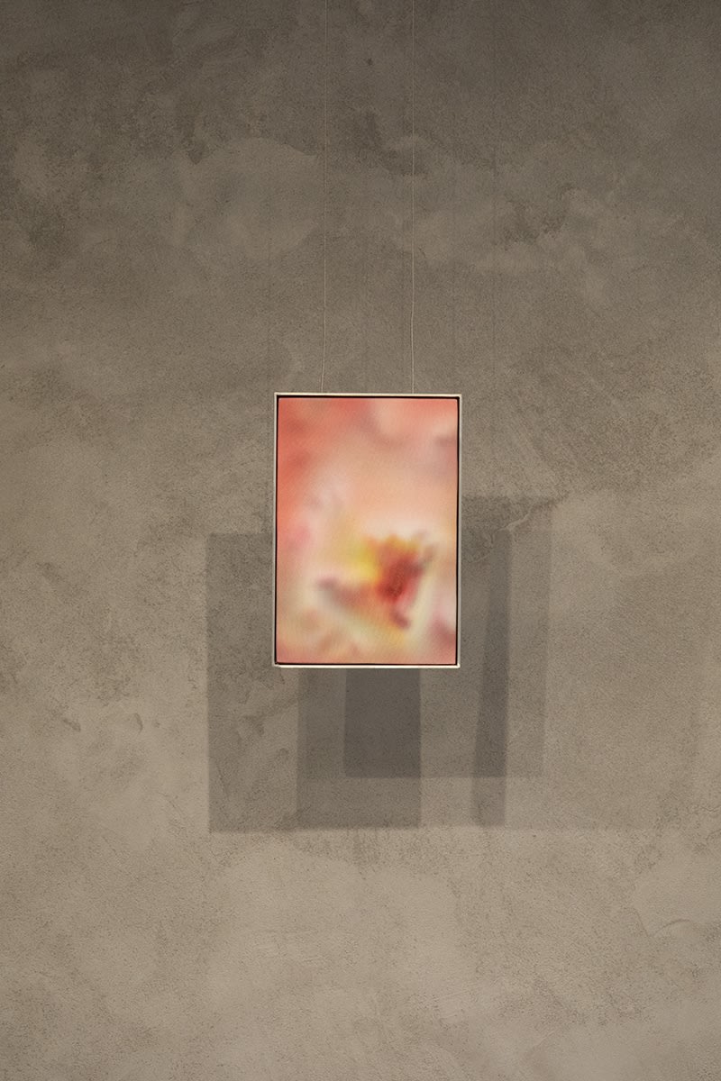 Damaris Athene, Latent Space.006, 2024