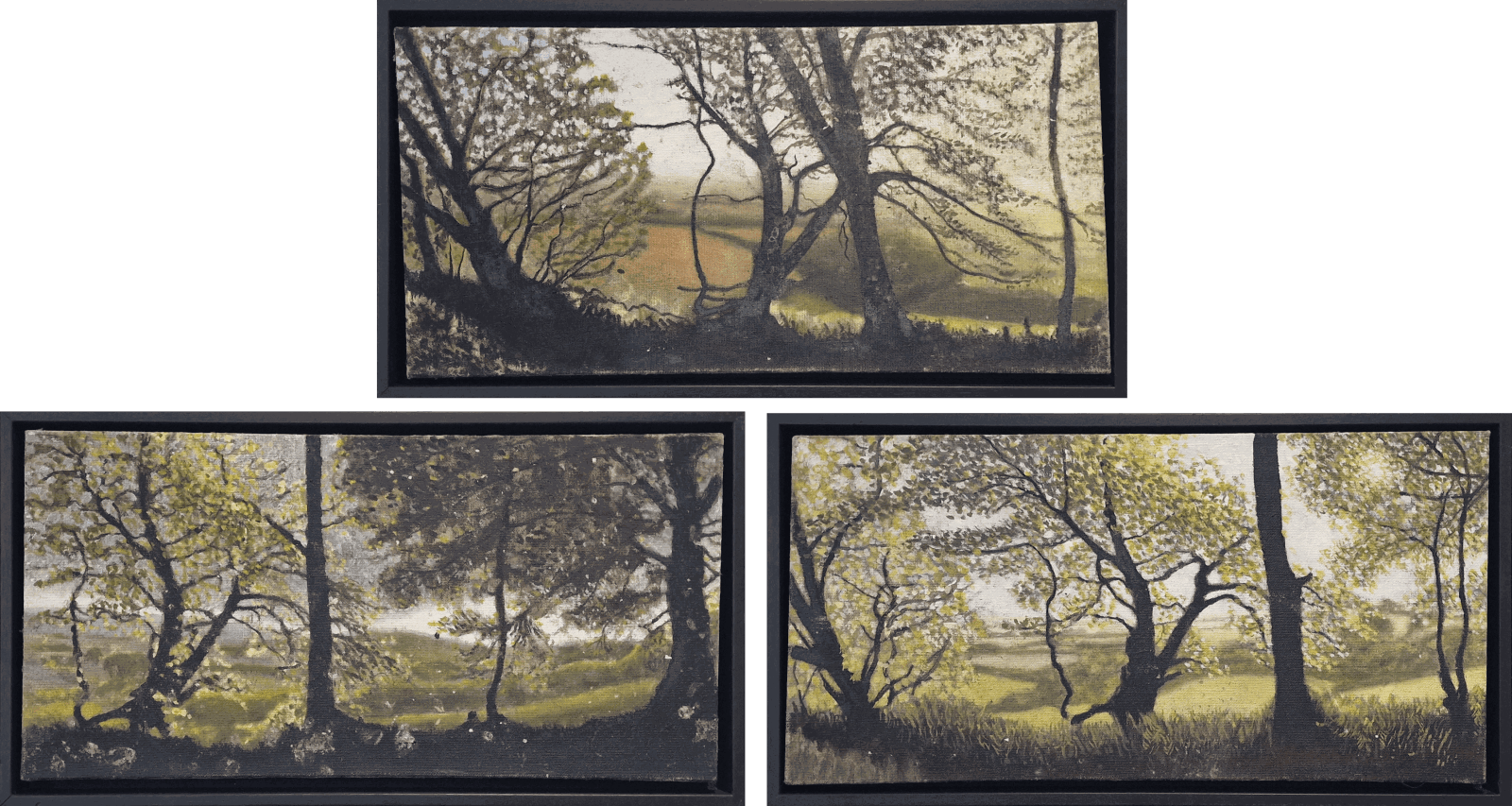 Kit Glaisyer, Lewesdon Small Views 3x 60x30
