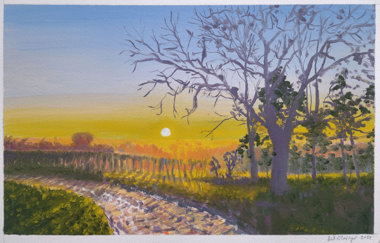Kit Glaisyer, South Bowood Morning Glow, 2022