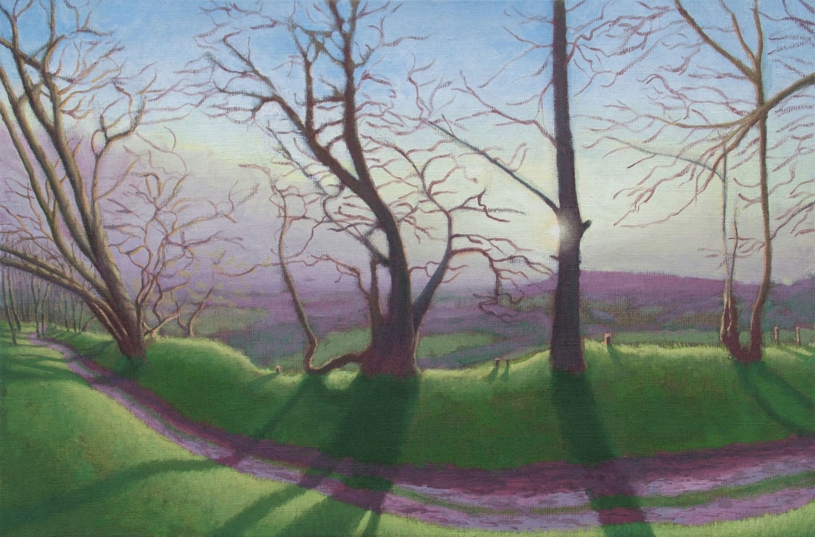 Kit Glaisyer, Winter shadows on Lewesdon Hill, West Dorset, 2011-12