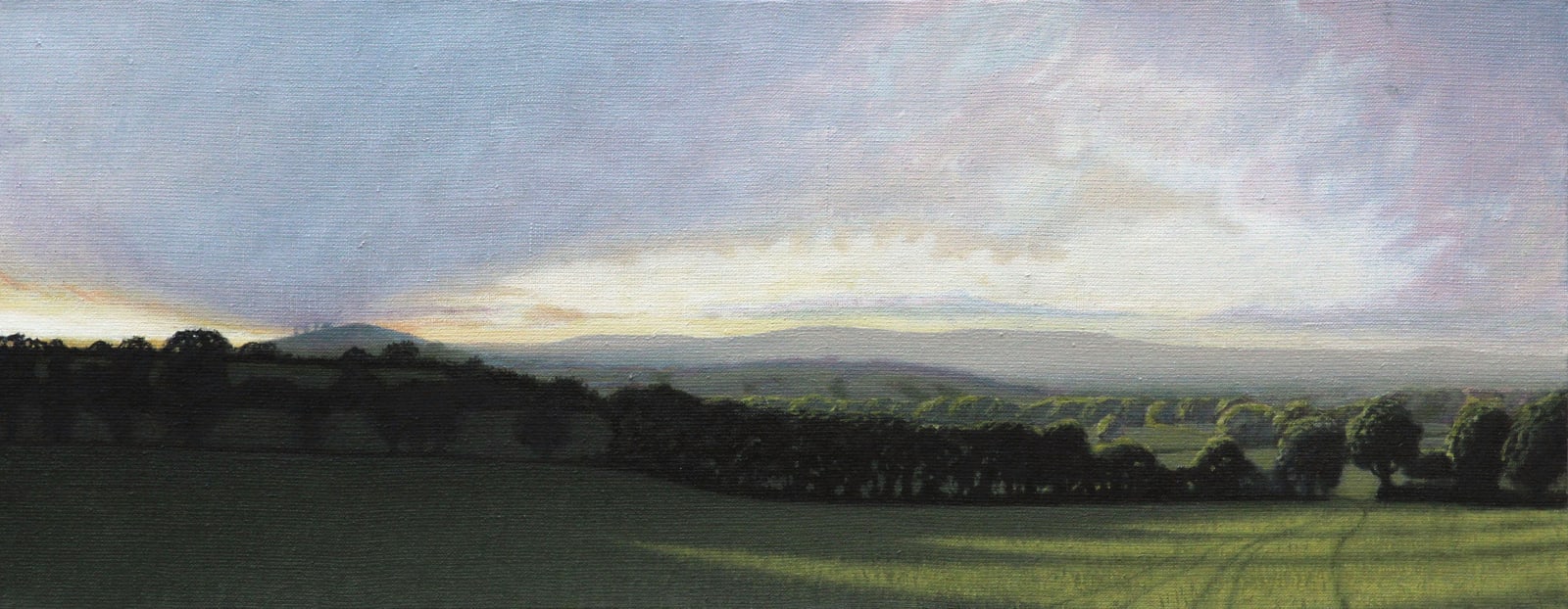 Kit Glaisyer, After the rain, near Whitchurch Canonicorum, West Dorset, 2014