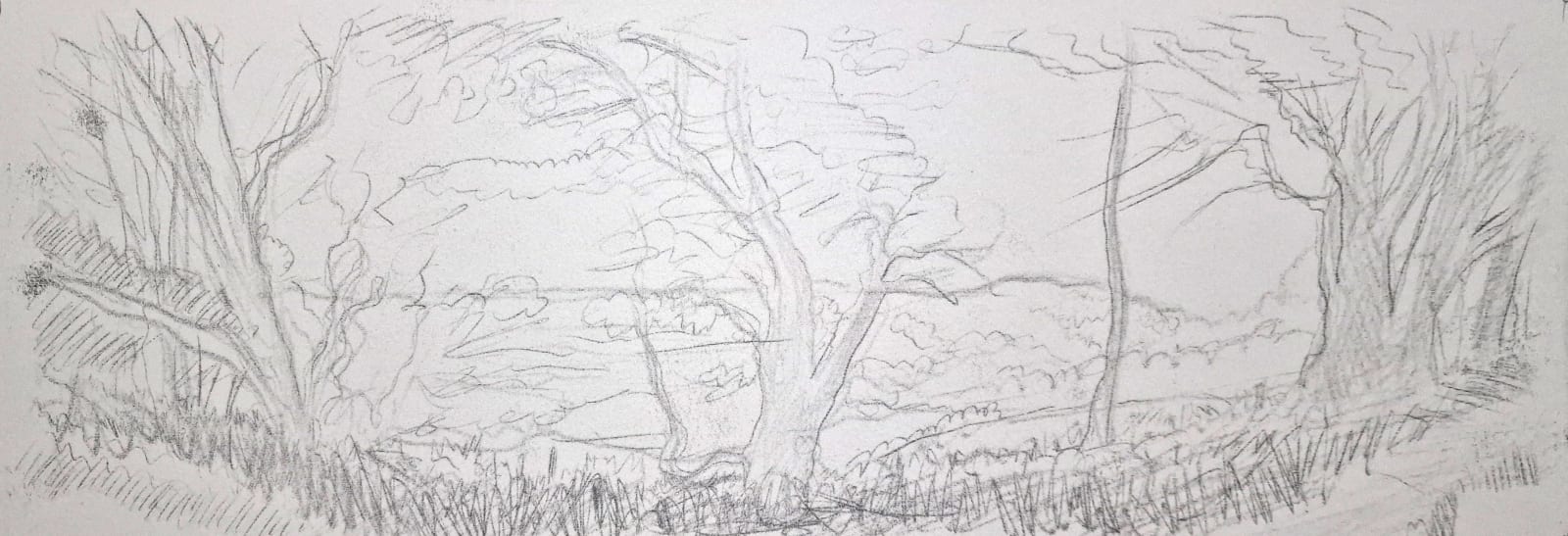 Kit Glaisyer, Spring on Lewesdon Hill