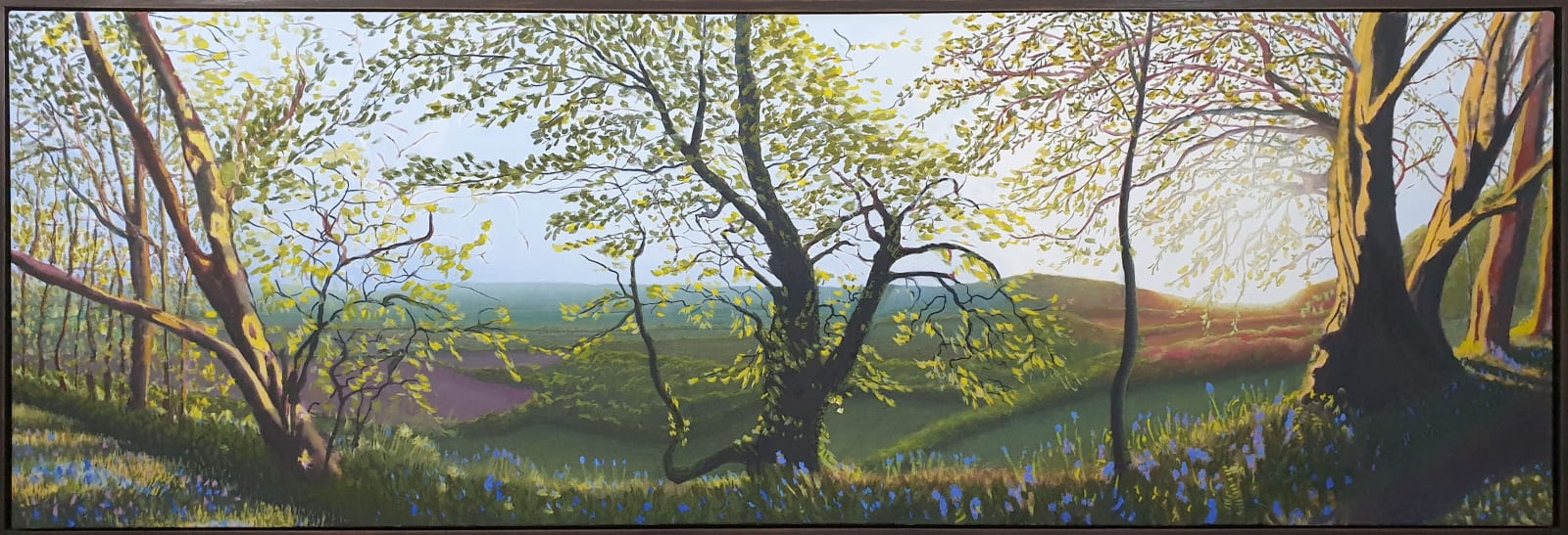Kit Glaisyer, Bluebells on Lewesdon Hill, West Dorset, 2019-2022
