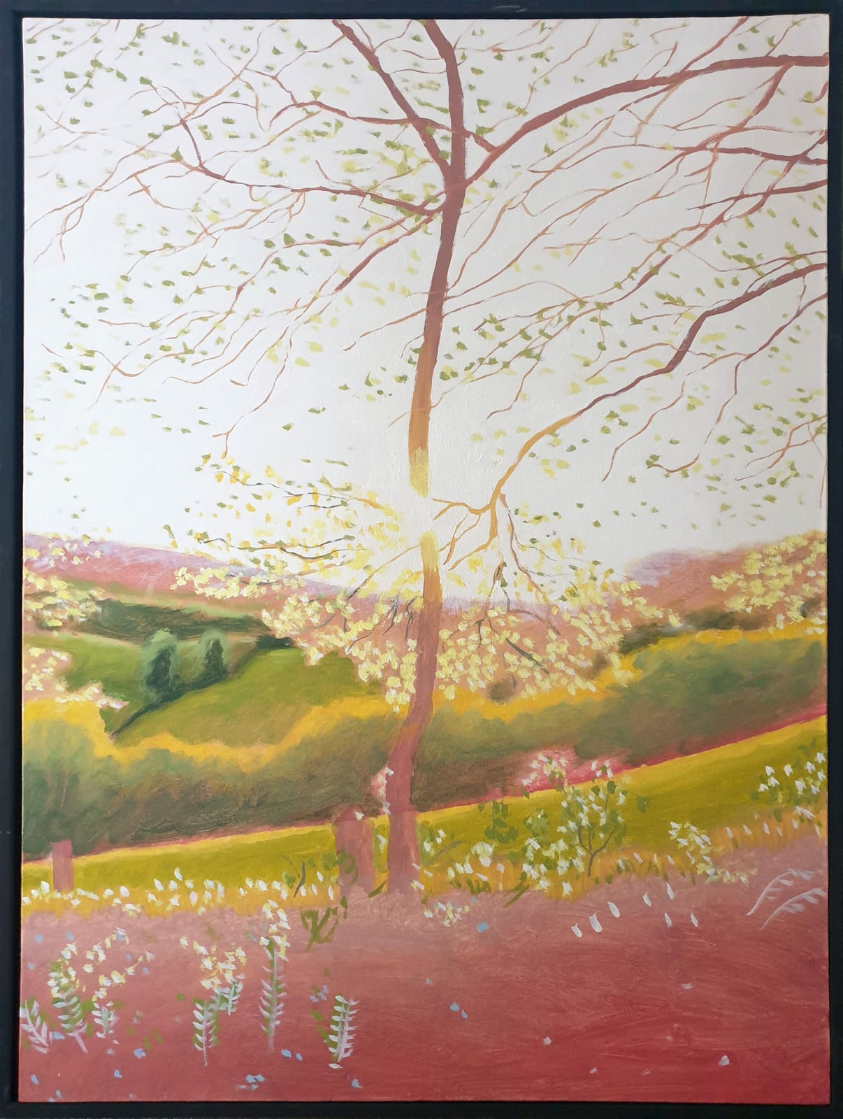 Kit Glaisyer, Young tree on Lewesdon Hill no2, 2022-23