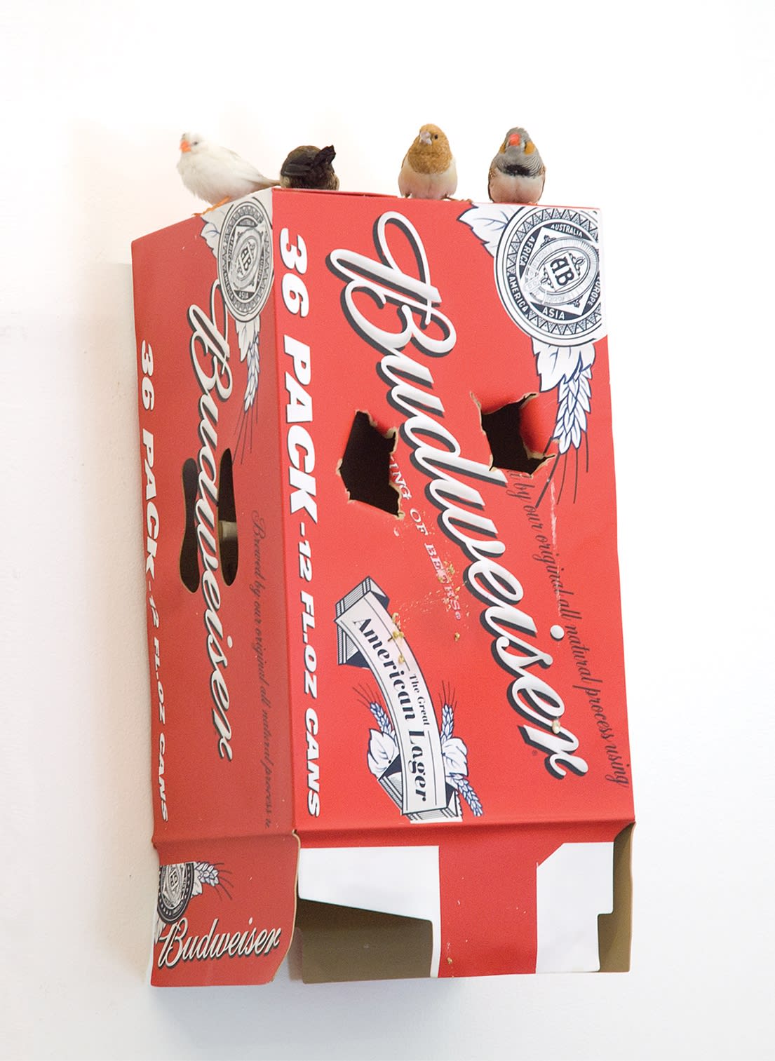 Tony Matelli, The Idiot, 2009