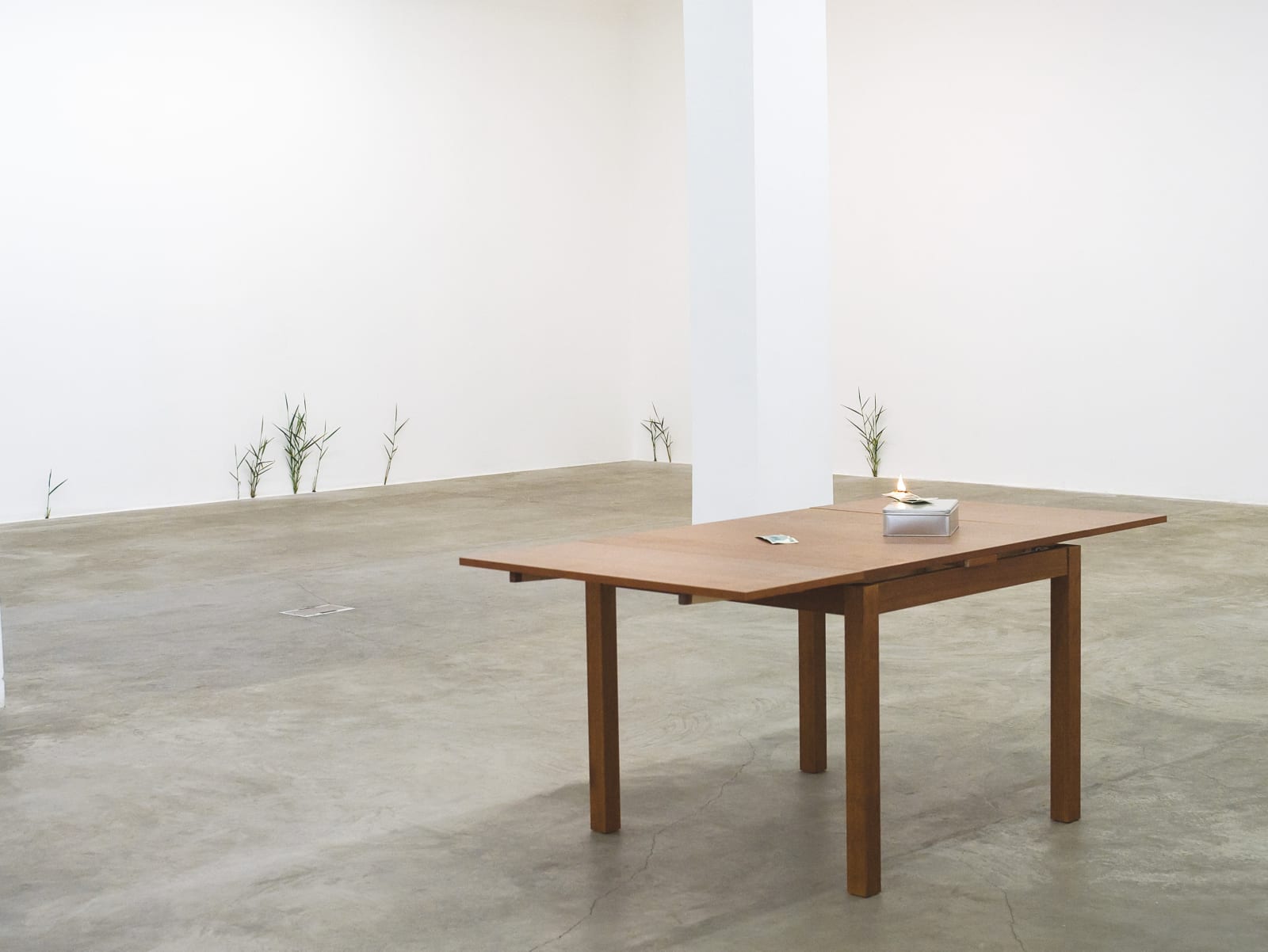 Tony Matelli, Fuck it, free yourself!, 2007