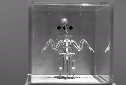 Mat Collishaw, The Machine Zone, 2019