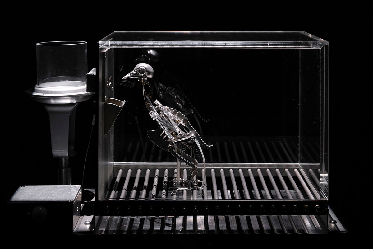 Mat Collishaw, The Machine Zone, 2019