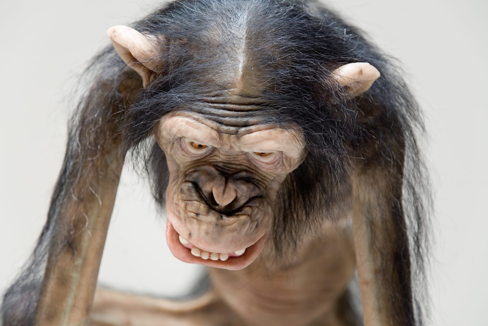 Tony Matelli, Old Enemy, New Victim, 2007