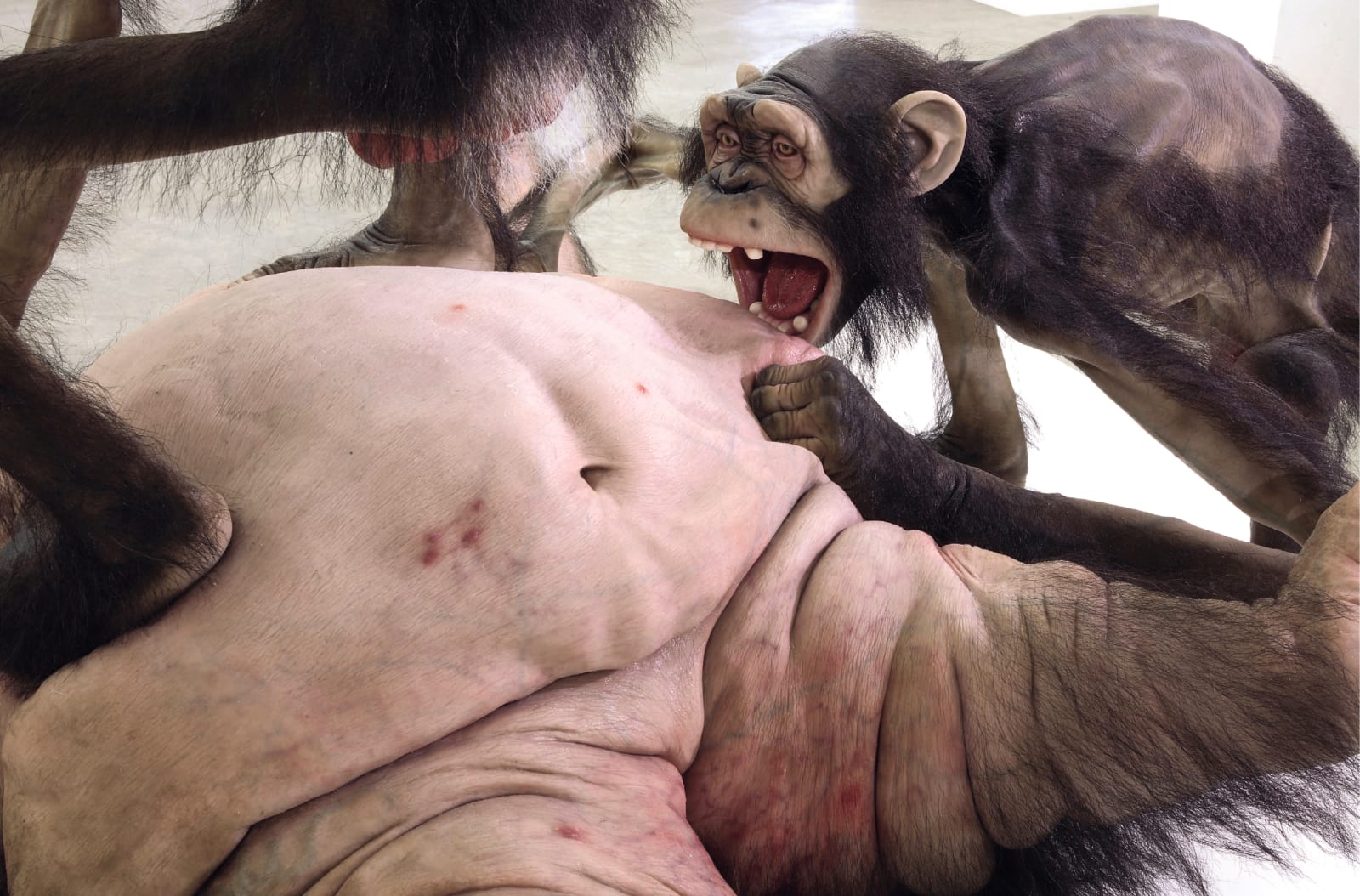 Tony Matelli, Old Enemy, New Victim, 2007