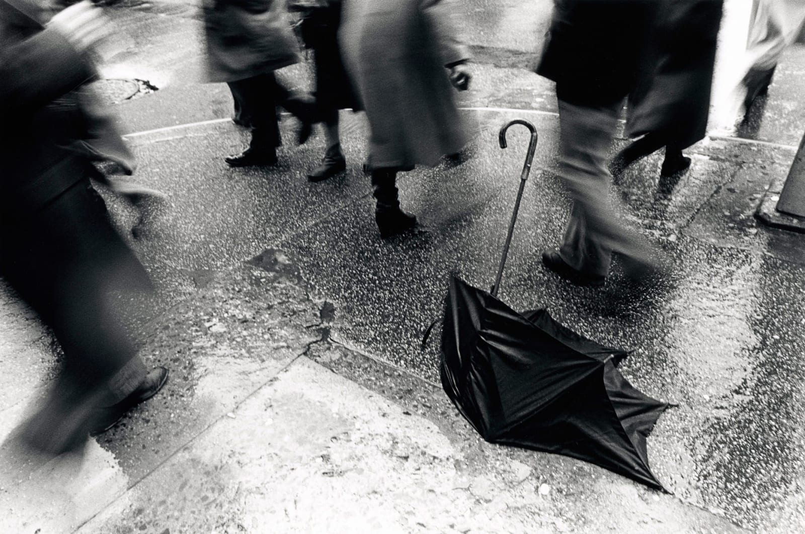 © Leland Bobbe, Black Swan