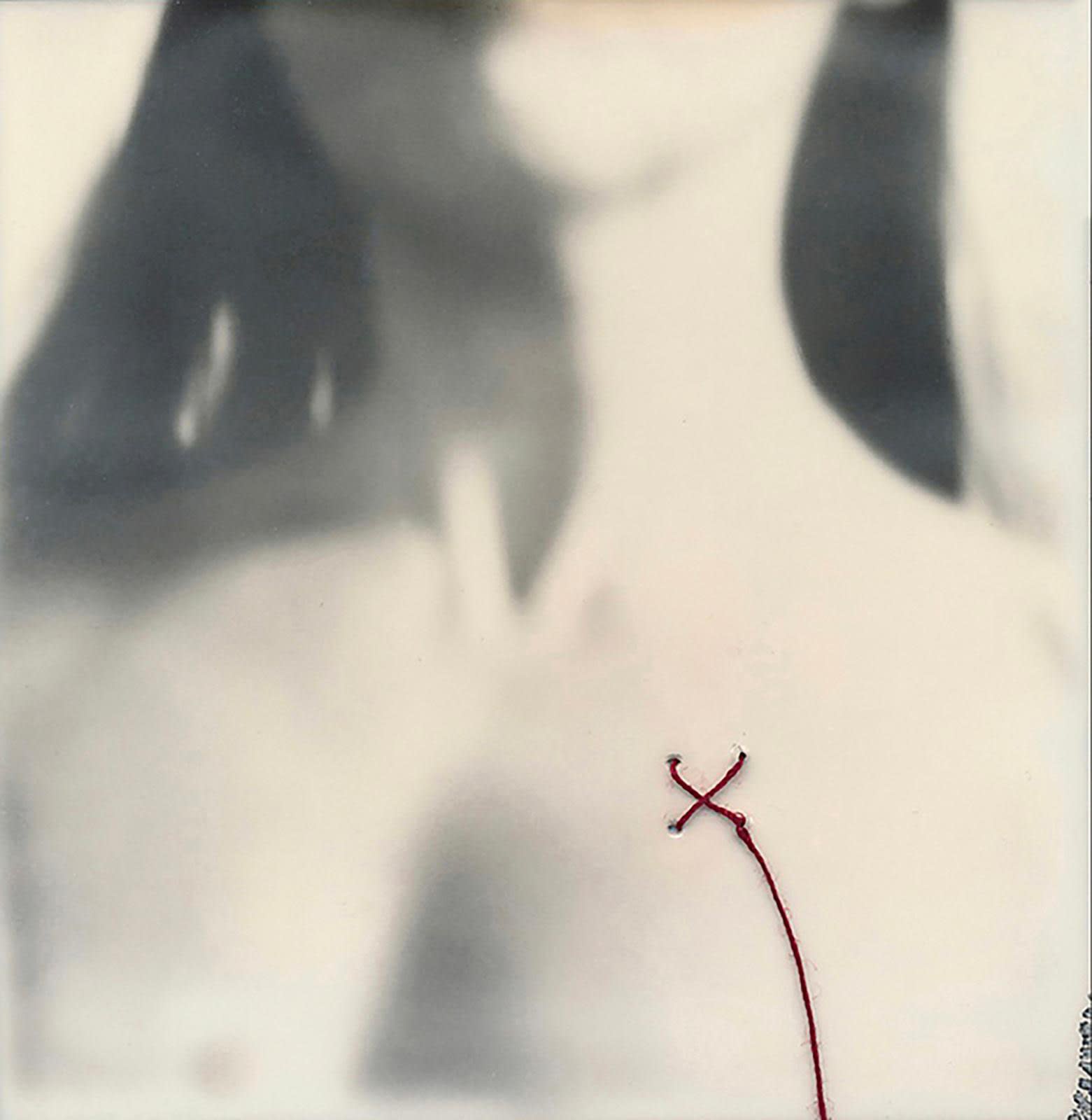 Catherine Just, The Stitched Heart, 2025