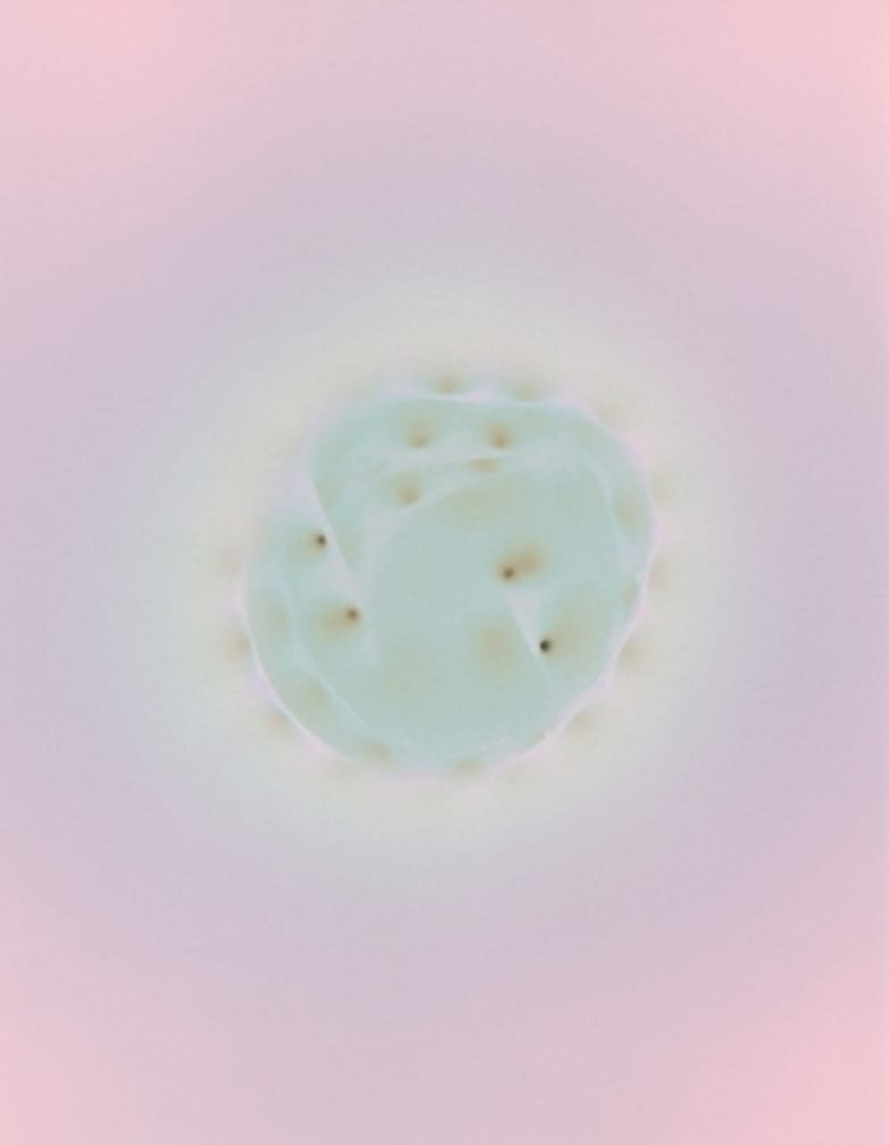 Richard S. Chow, Virus, 2024
