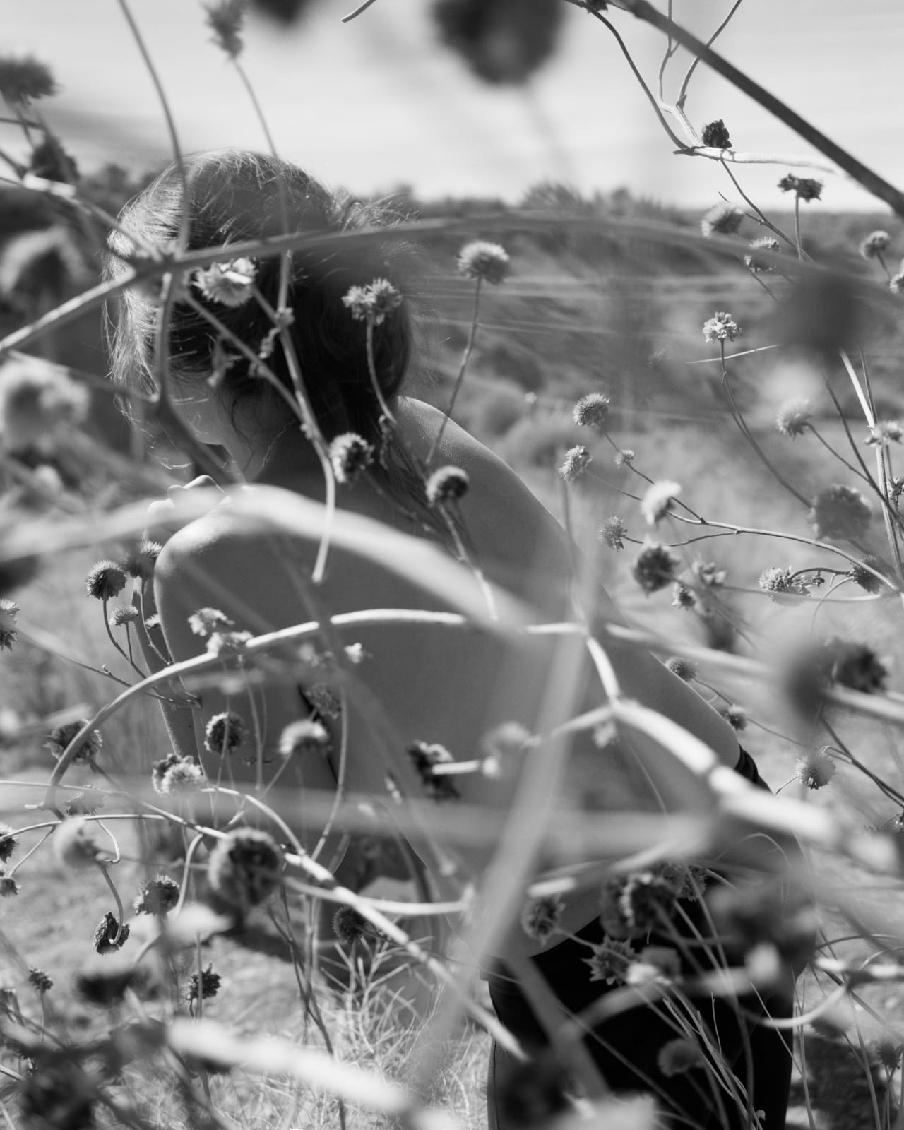 Rose Marie Cromwell, In the Dry Bush, 2022