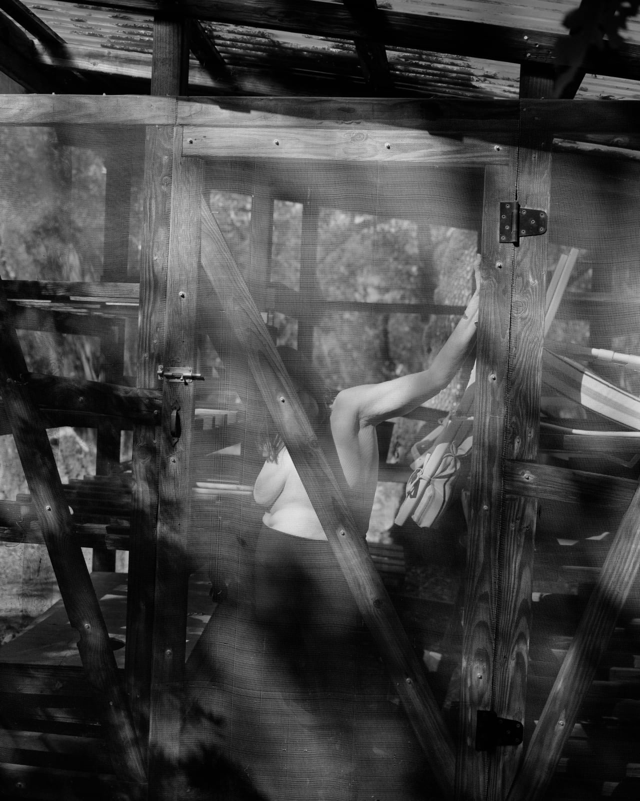 Rose Marie Cromwell, Greenhouse, 2022