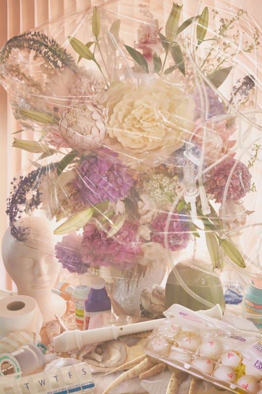 David LaChapelle, Earth Laughs in Flowers: Deathless Winter, 2008-2011