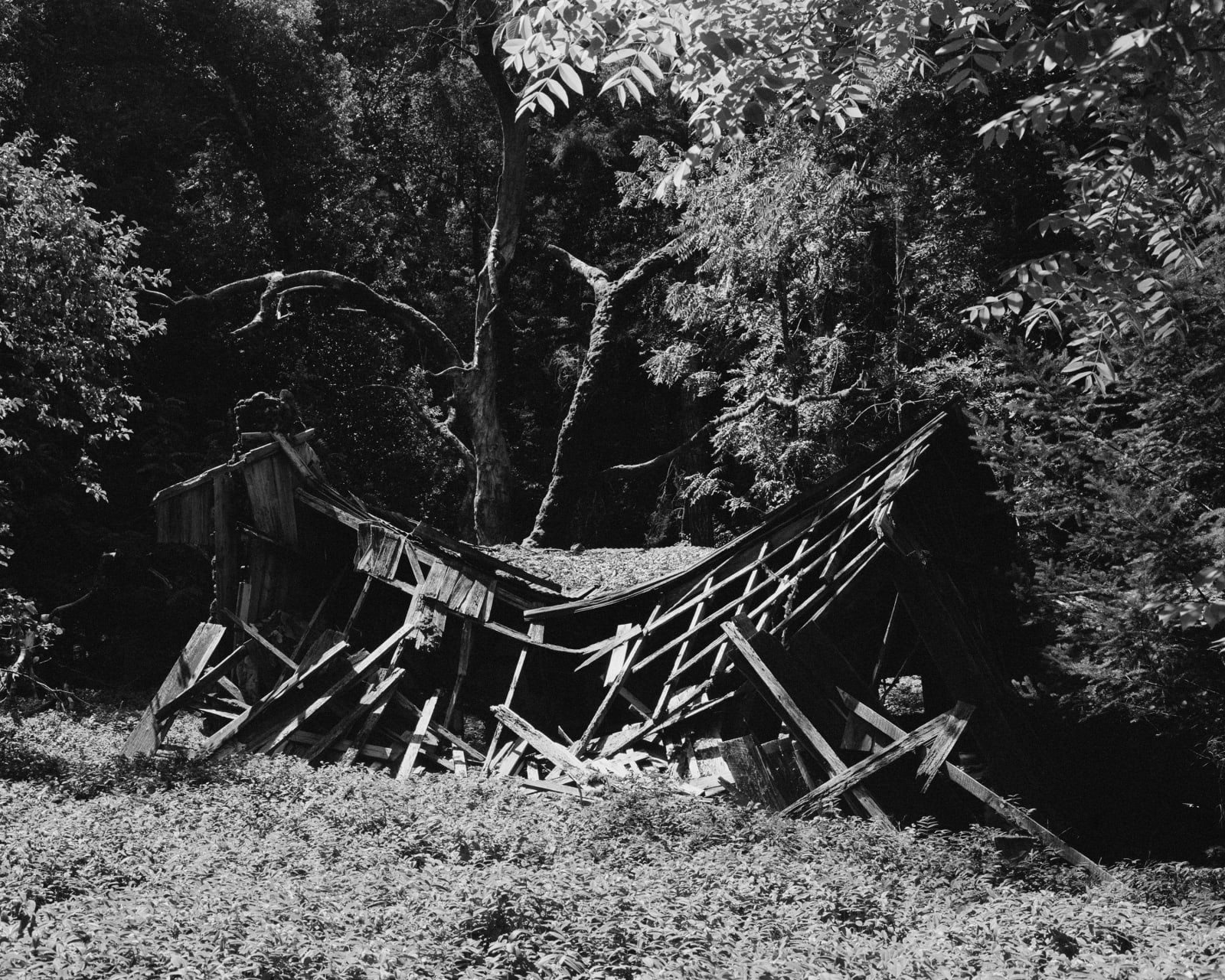 Rose Marie Cromwell, Sunken Mine, 2022