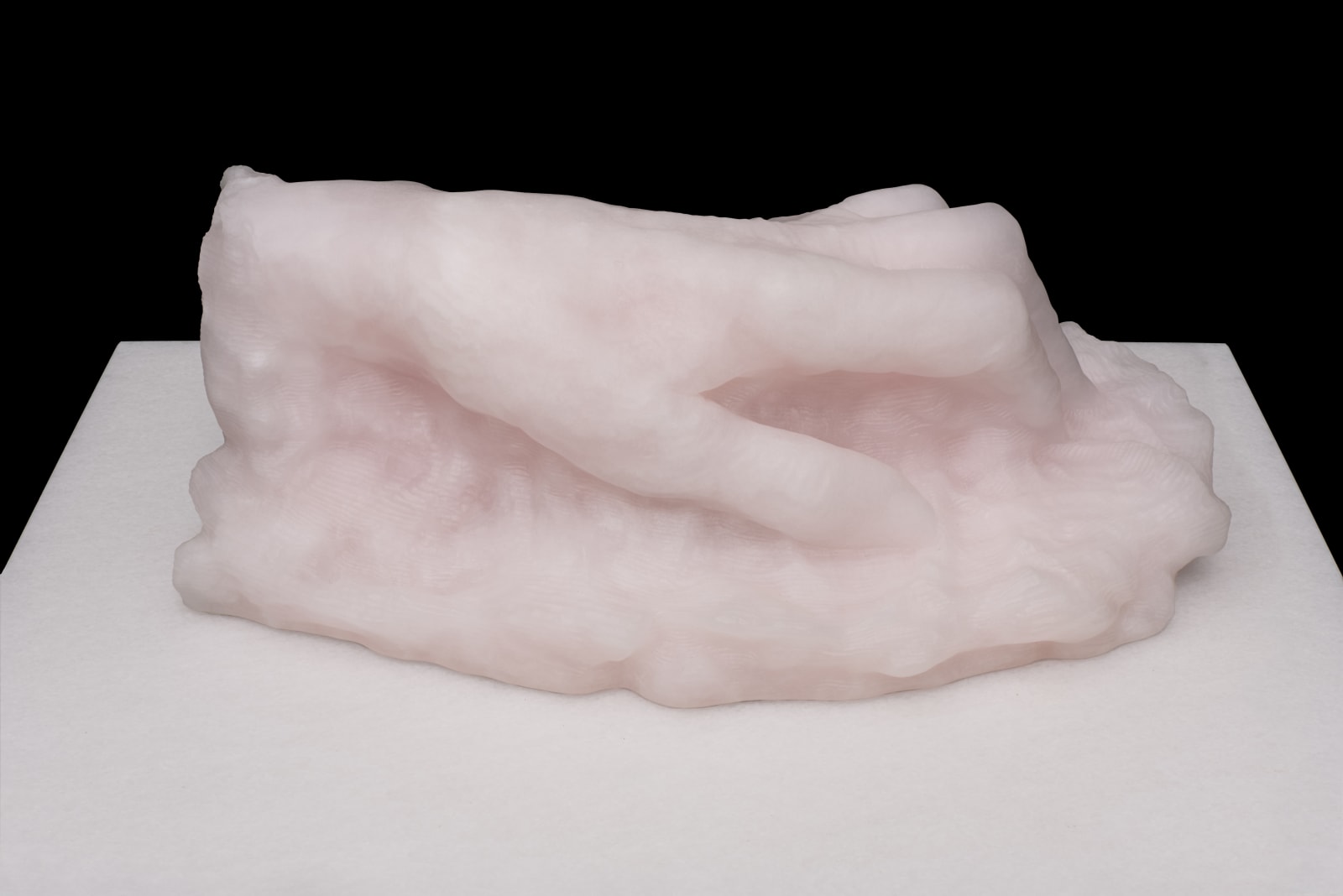 Barry Ball, Hand of the Artist, 2013-2025
