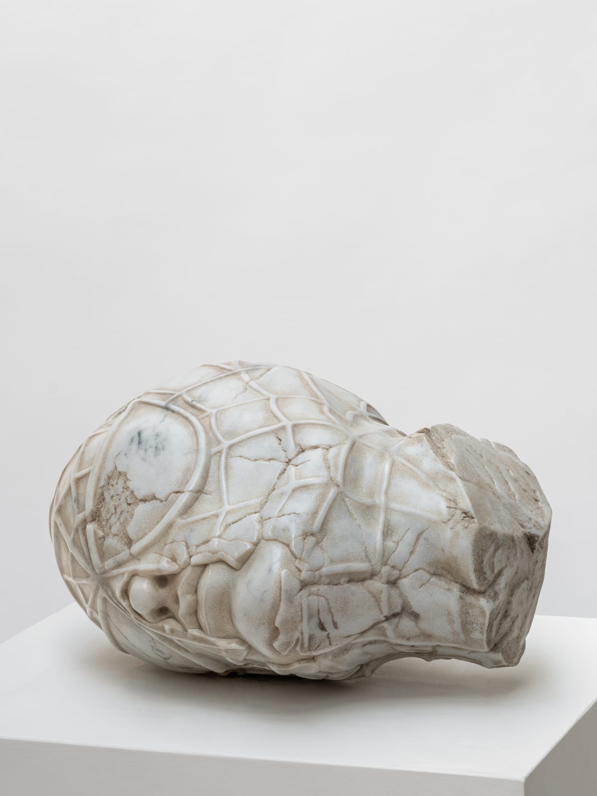 Aracne Head Lying