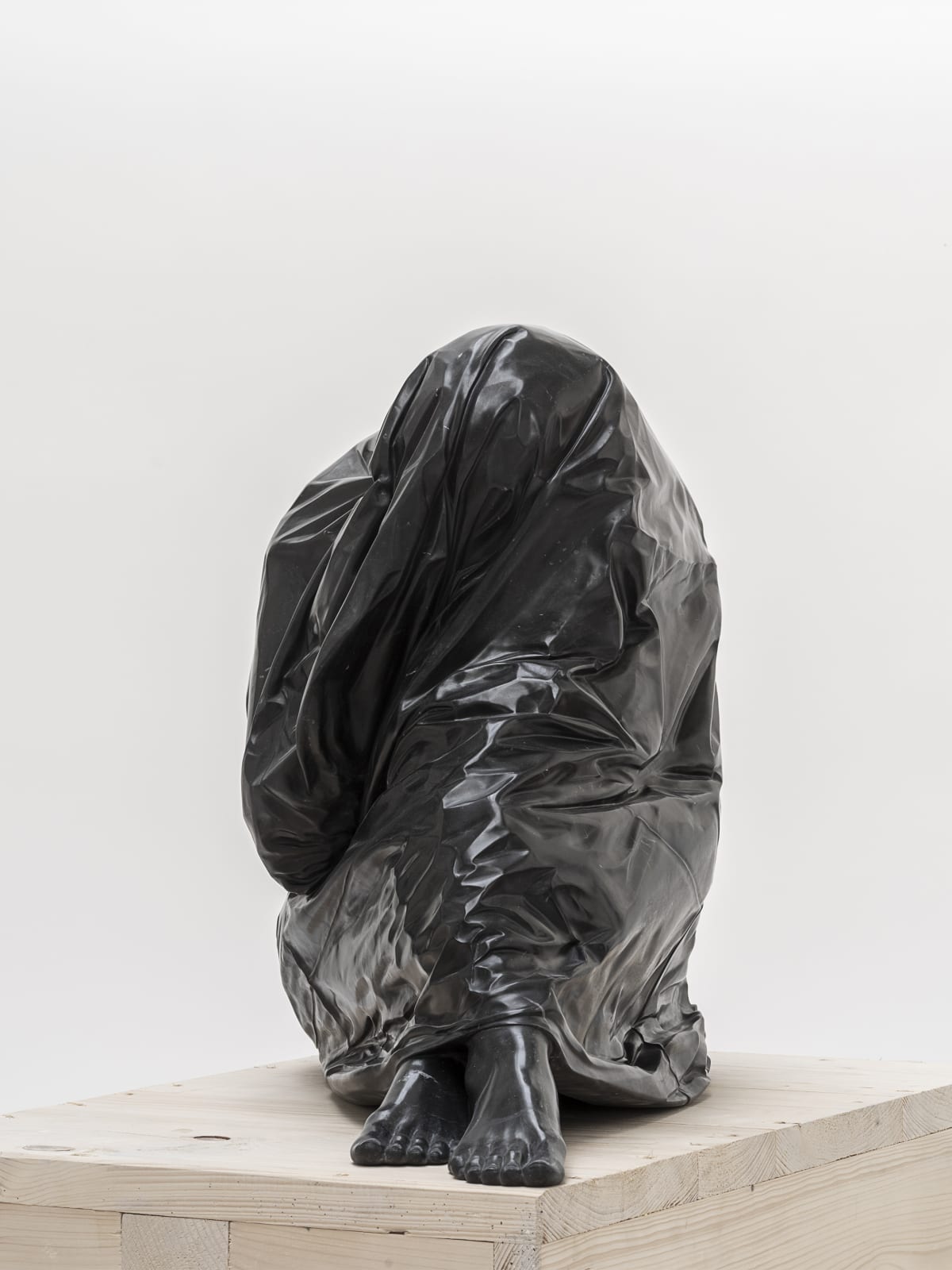Venus Bagged
