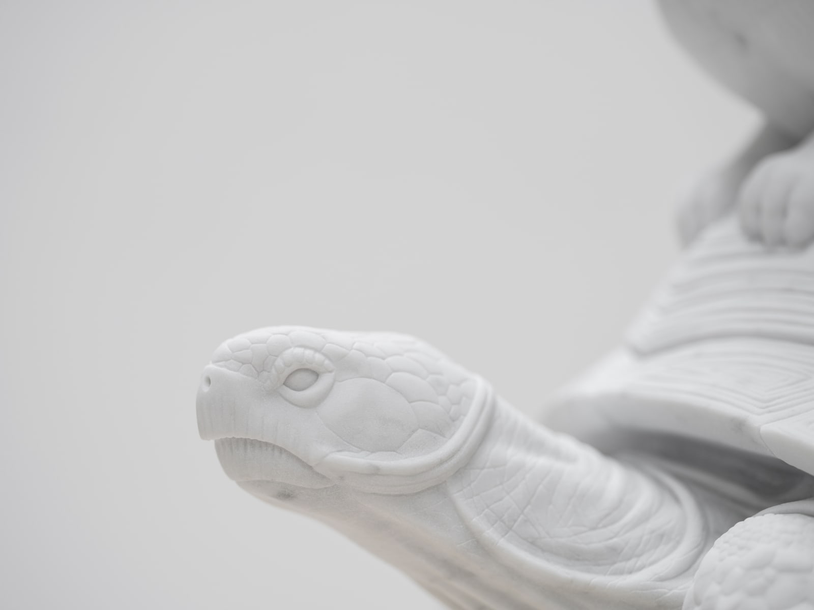 Hare and Tortoise