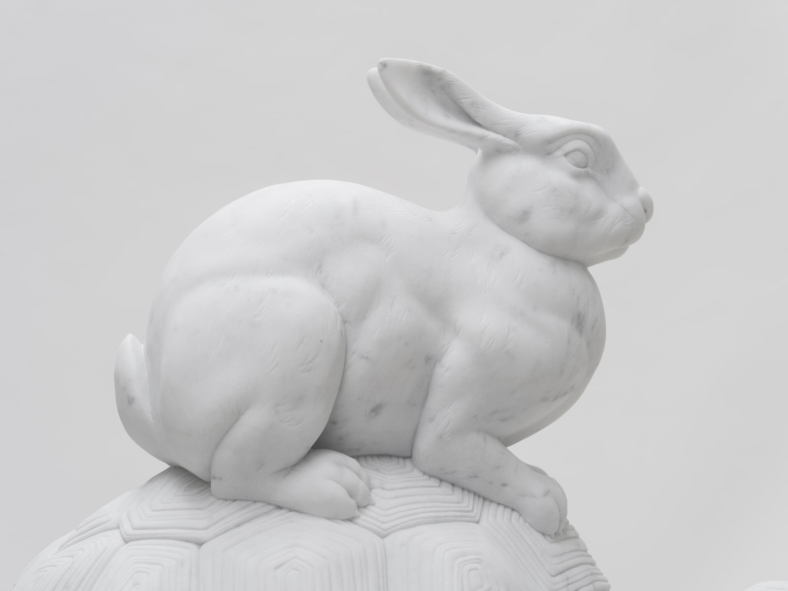 Hare and Tortoise