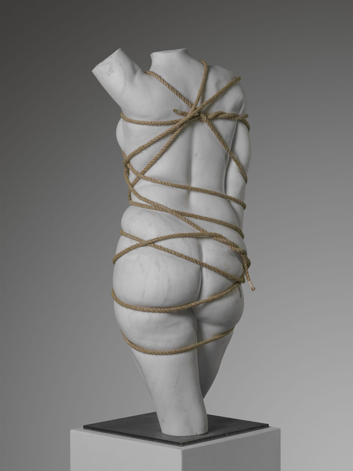 Venus Restricted