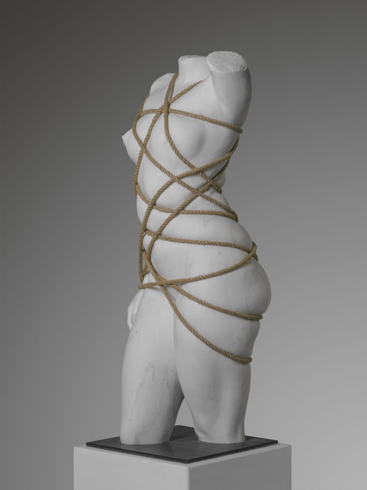 Venus Restricted