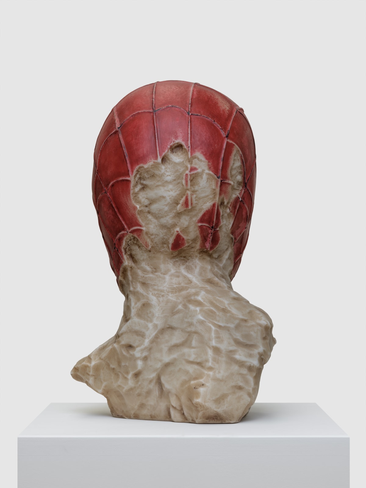 Aracne Head