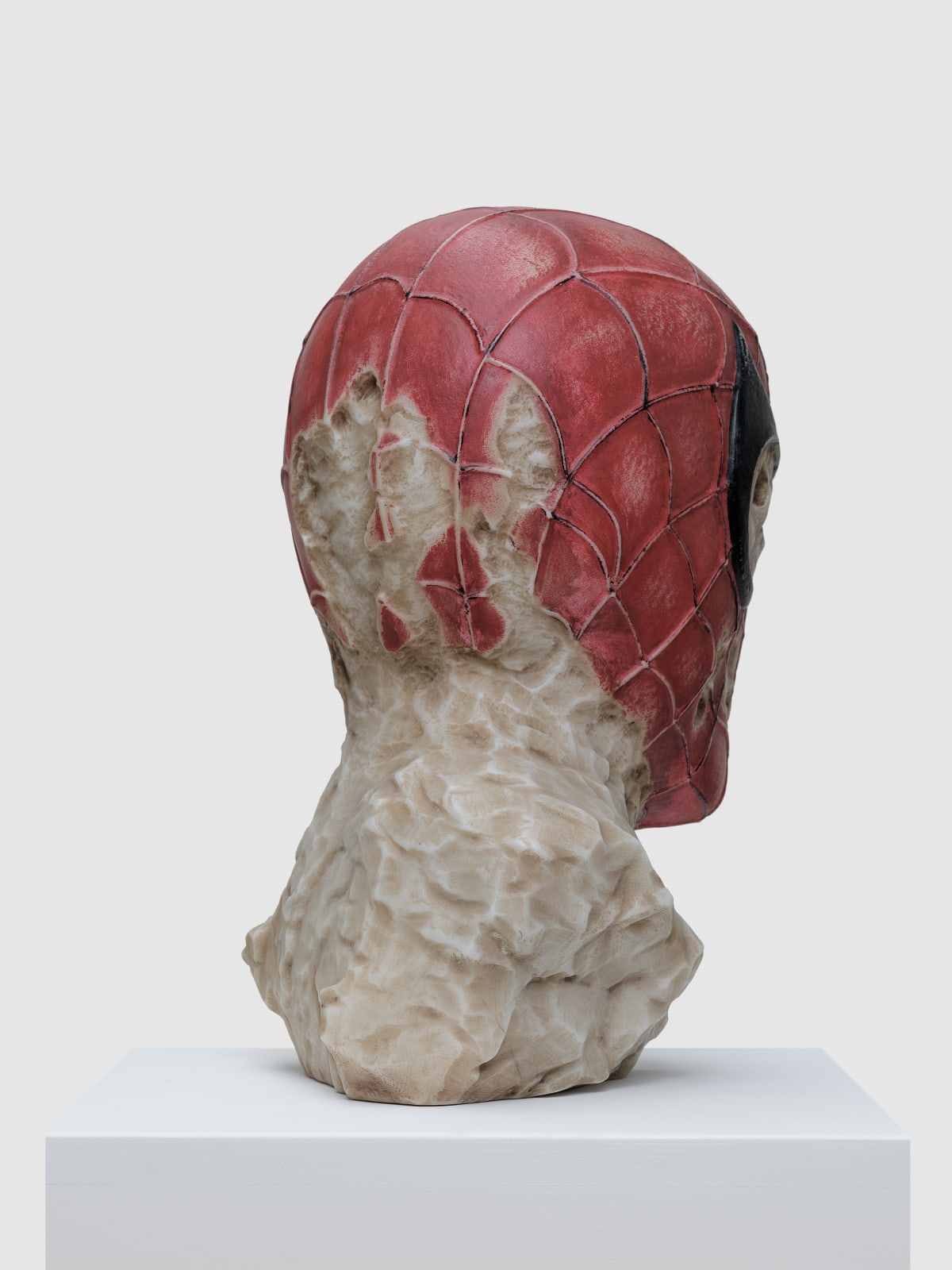 Aracne Head