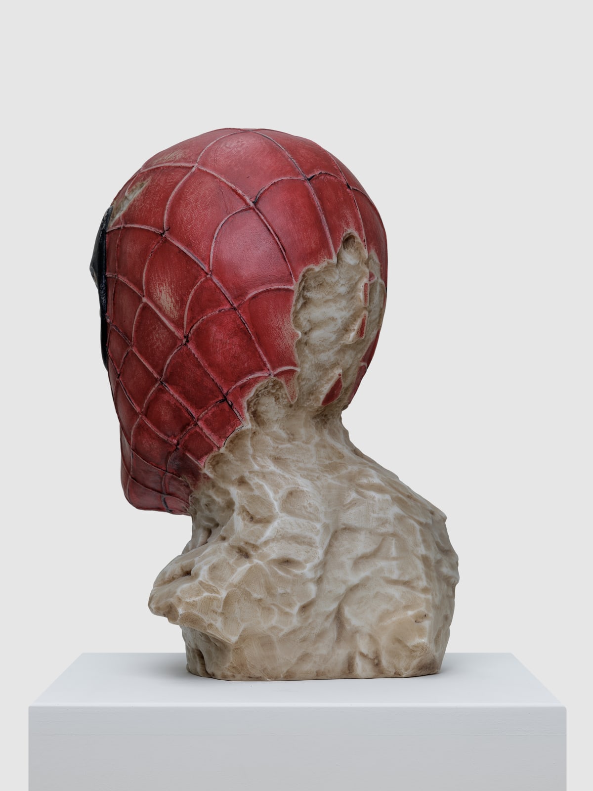 Aracne Head