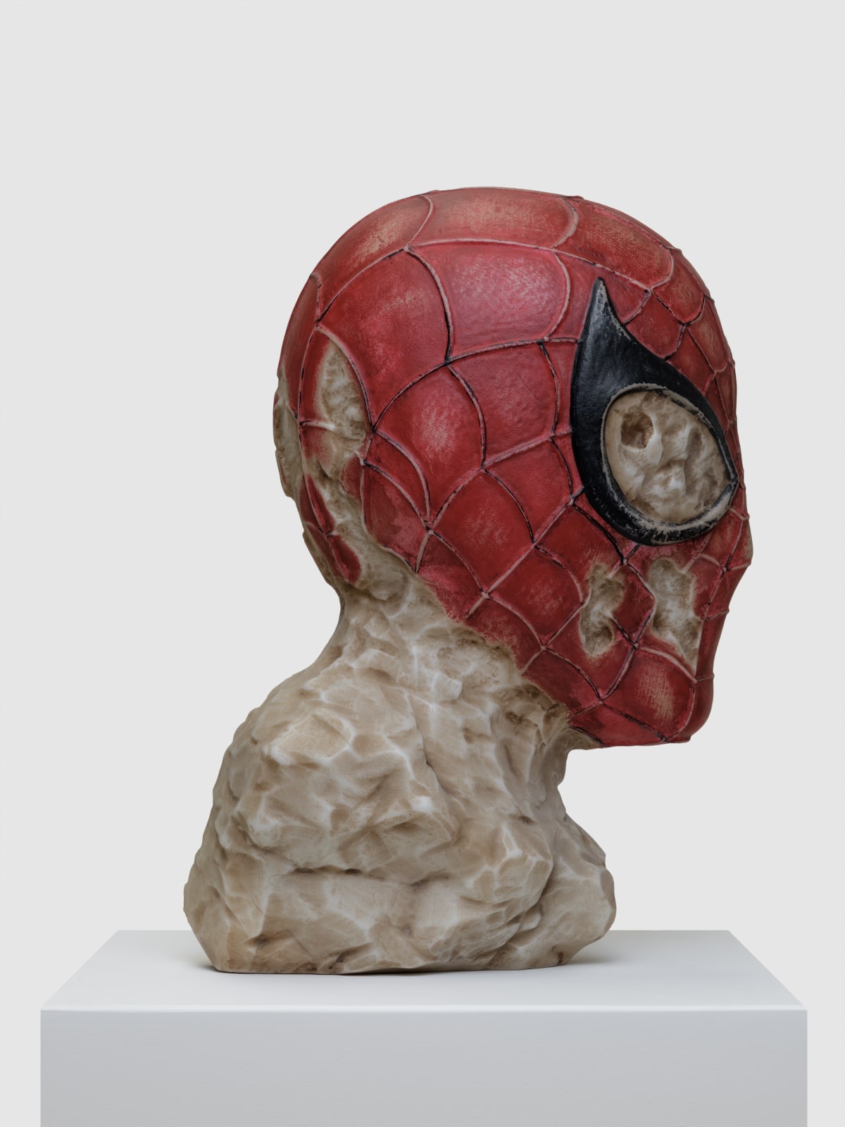 Aracne Head