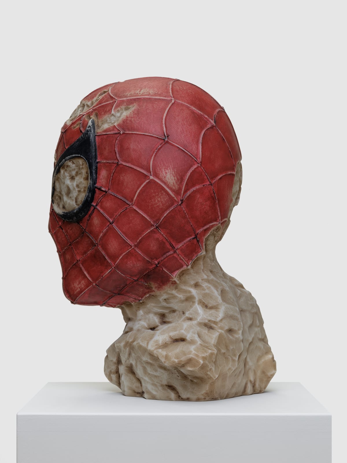 Aracne Head