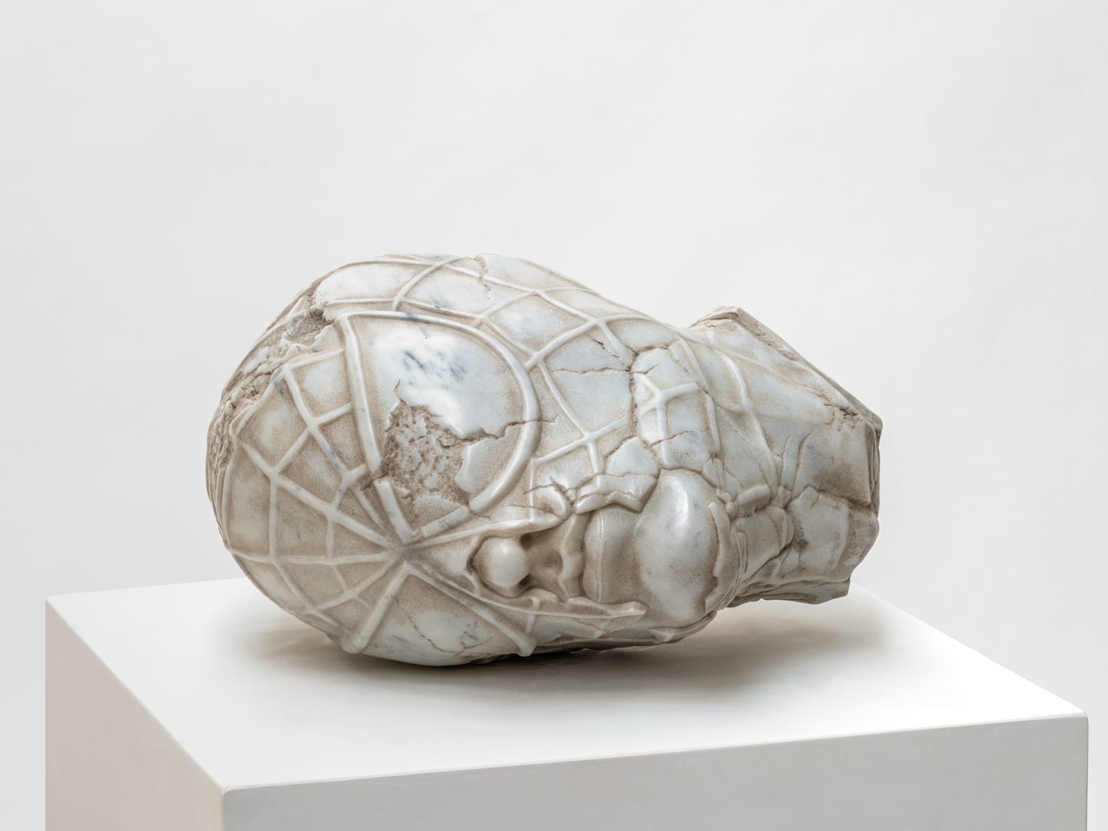 Aracne Head Lying