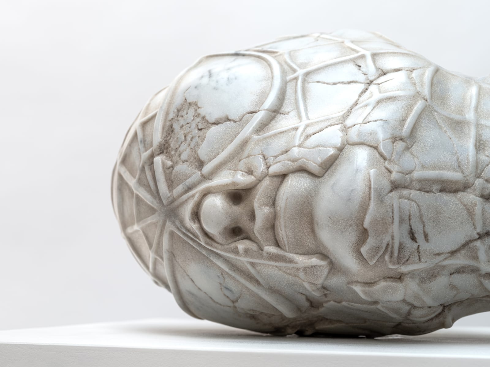 Aracne Head Lying