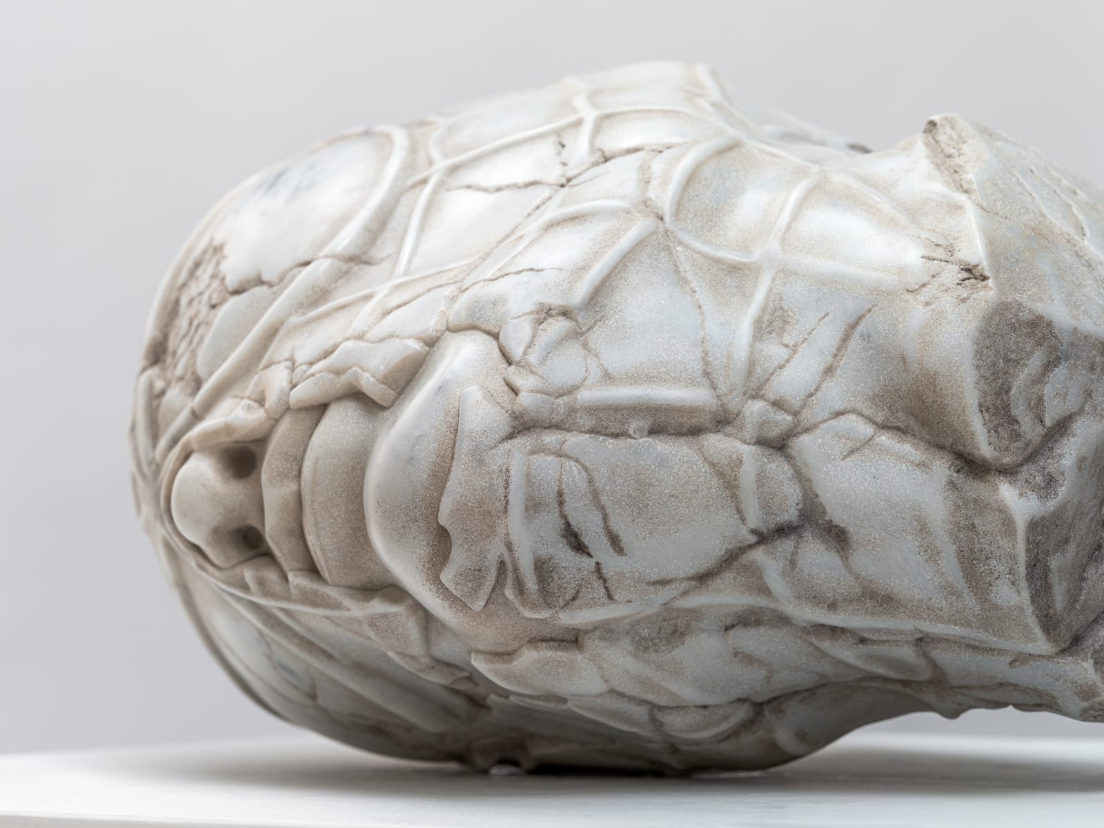Aracne Head Lying