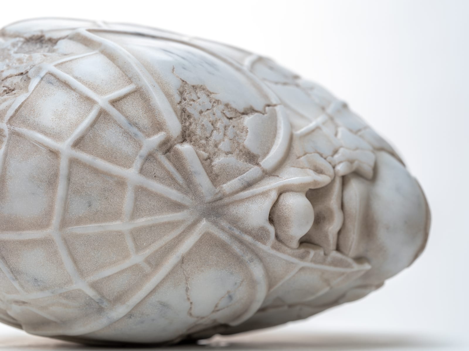 Aracne Head Lying