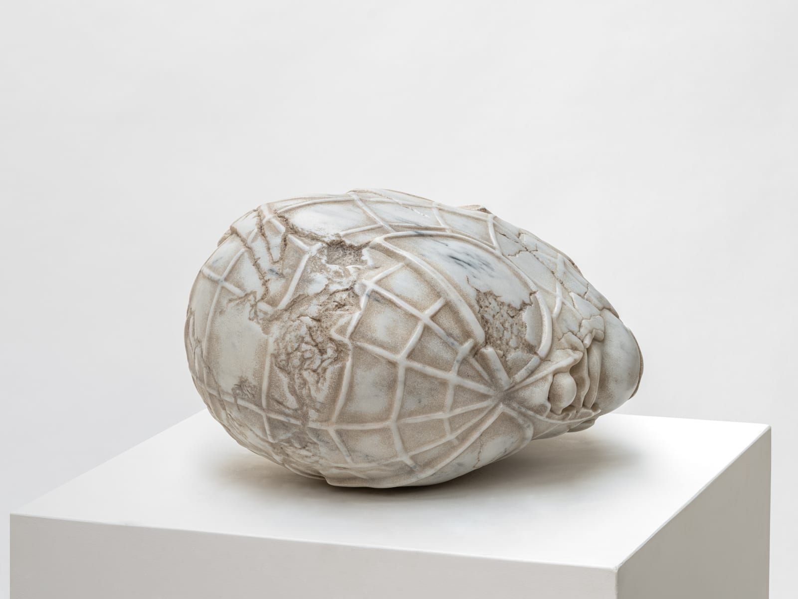 Aracne Head Lying