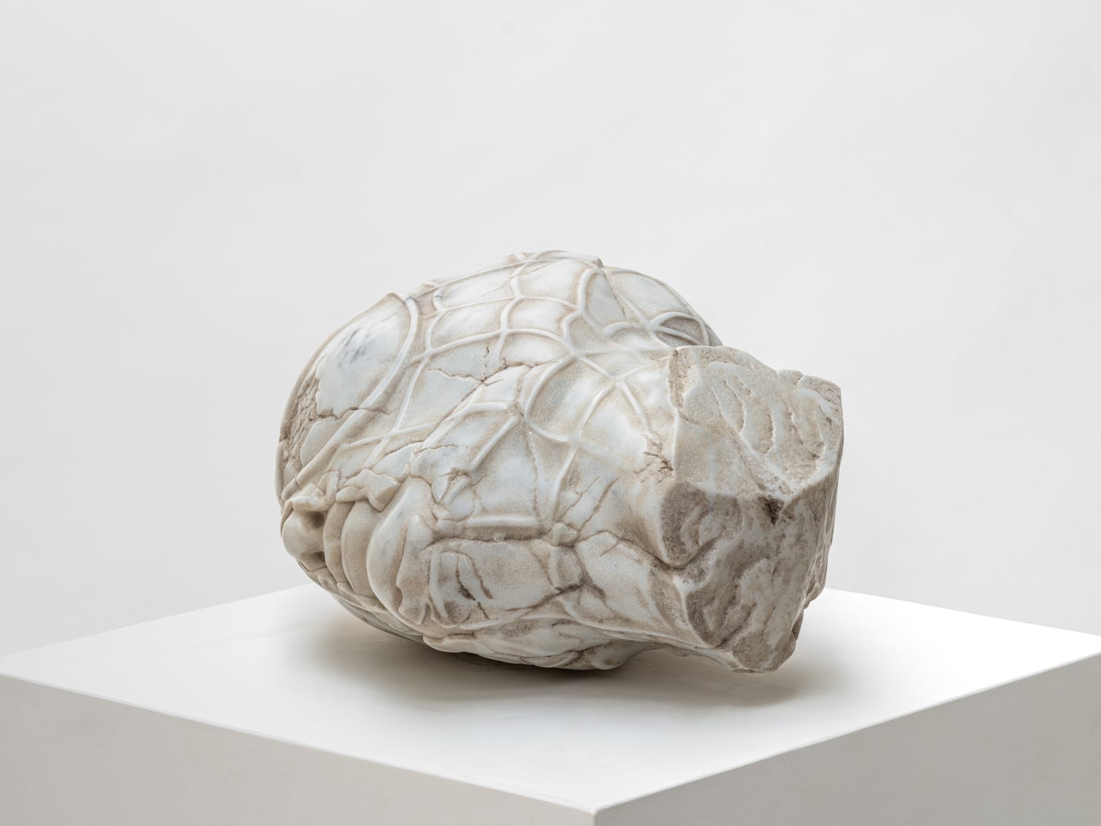 Aracne Head Lying