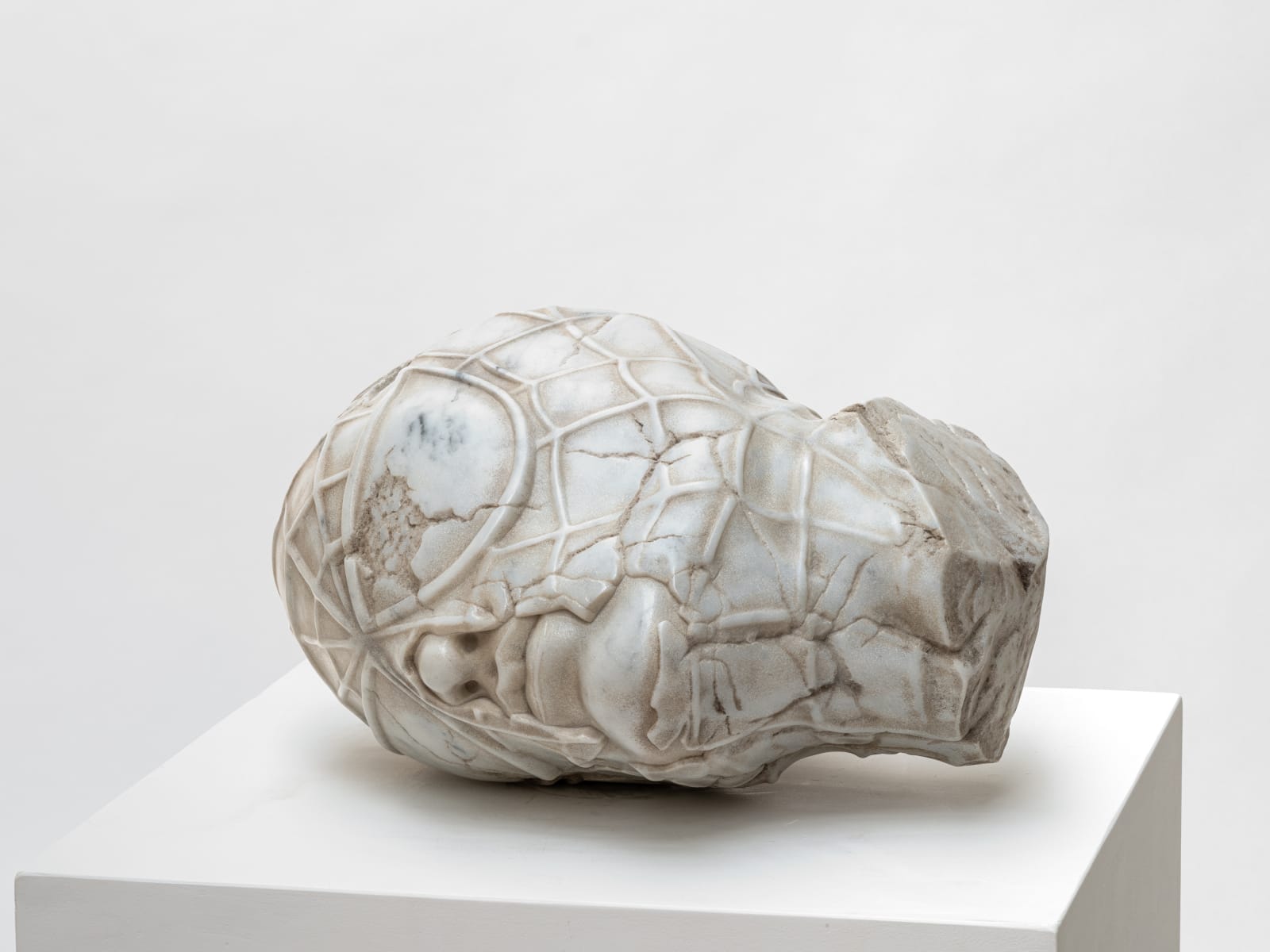 Aracne Head Lying