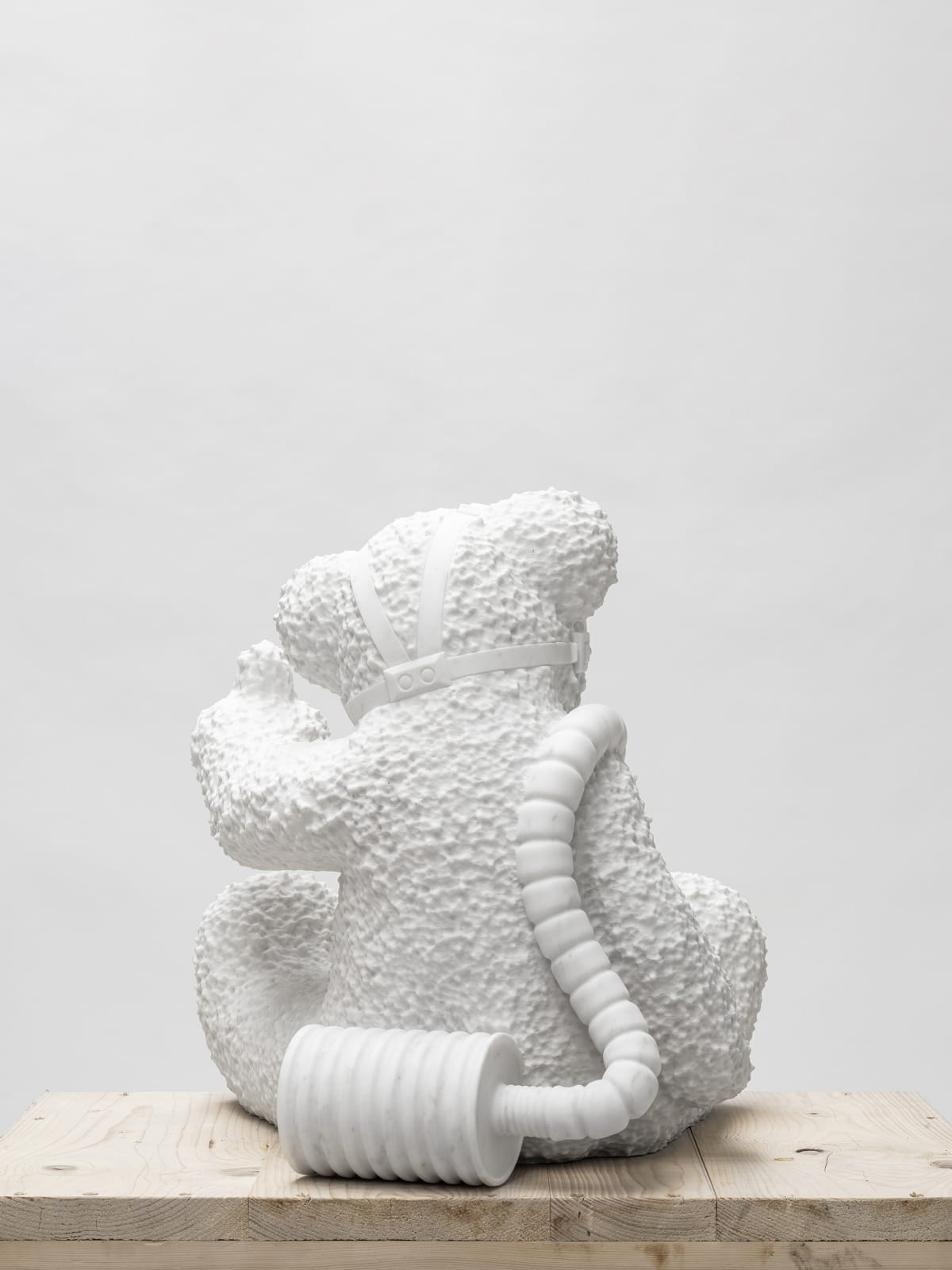 Teddy Bear Fuck You